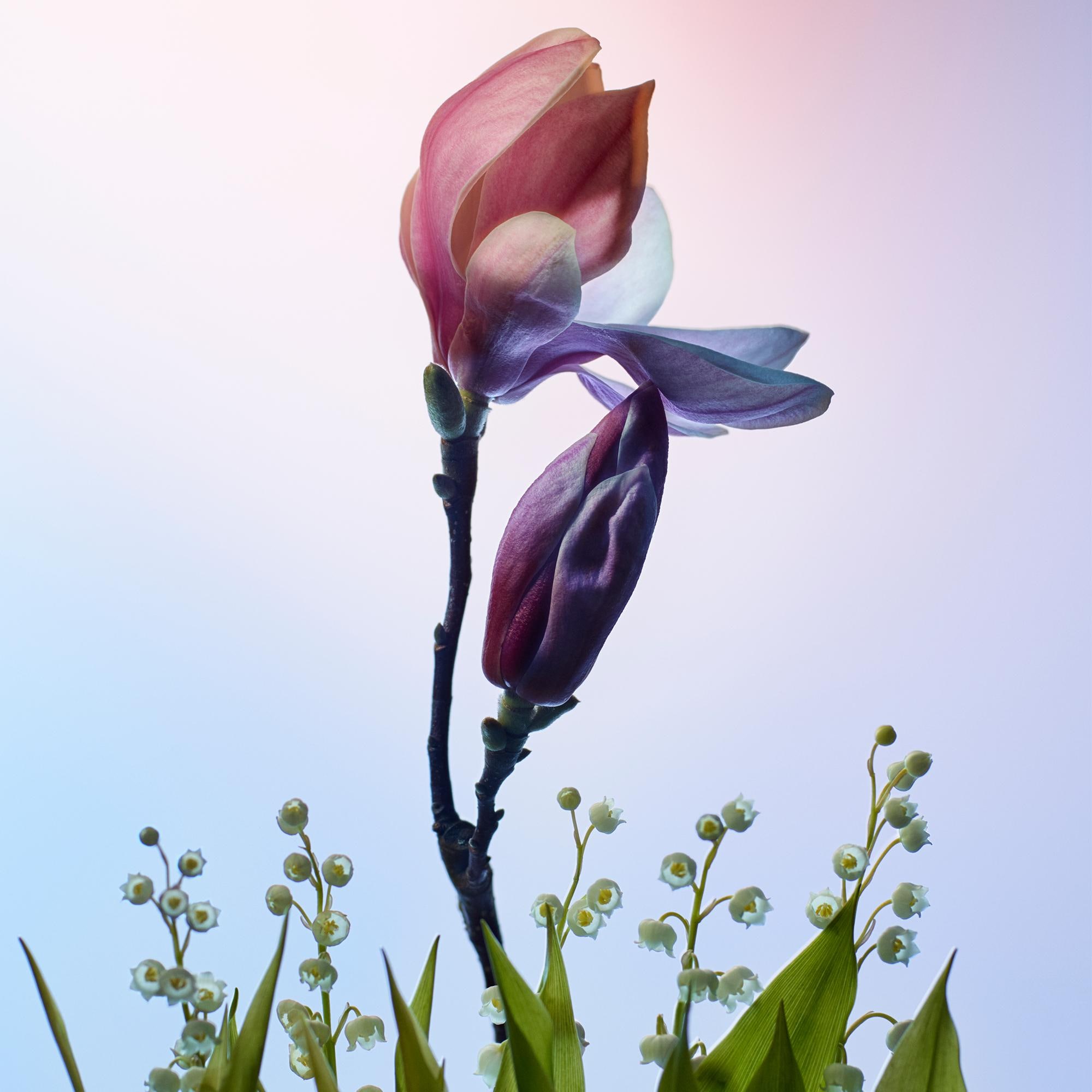 Nước Hoa Apogée  in Nước hoa và Làm đẹp