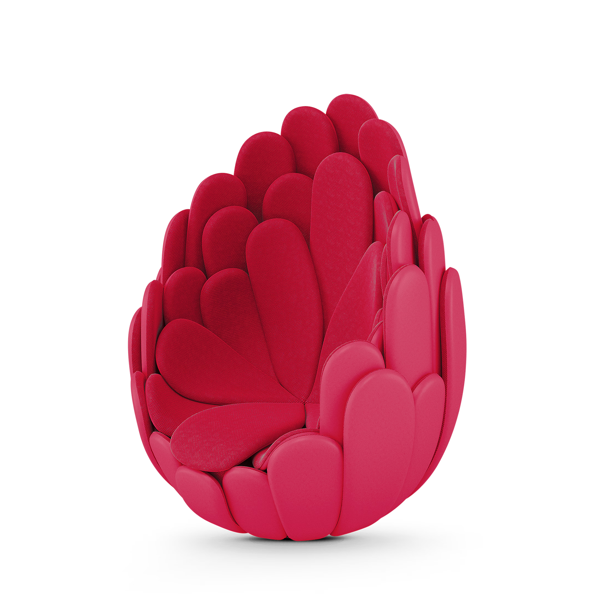 Raspberry