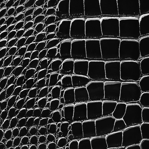 Túi Capucines BB Da cá sấu bóng in Đồ Nữ's Túi Túi Capucines collections by Louis Vuitton (Thu phóng sản phẩm)