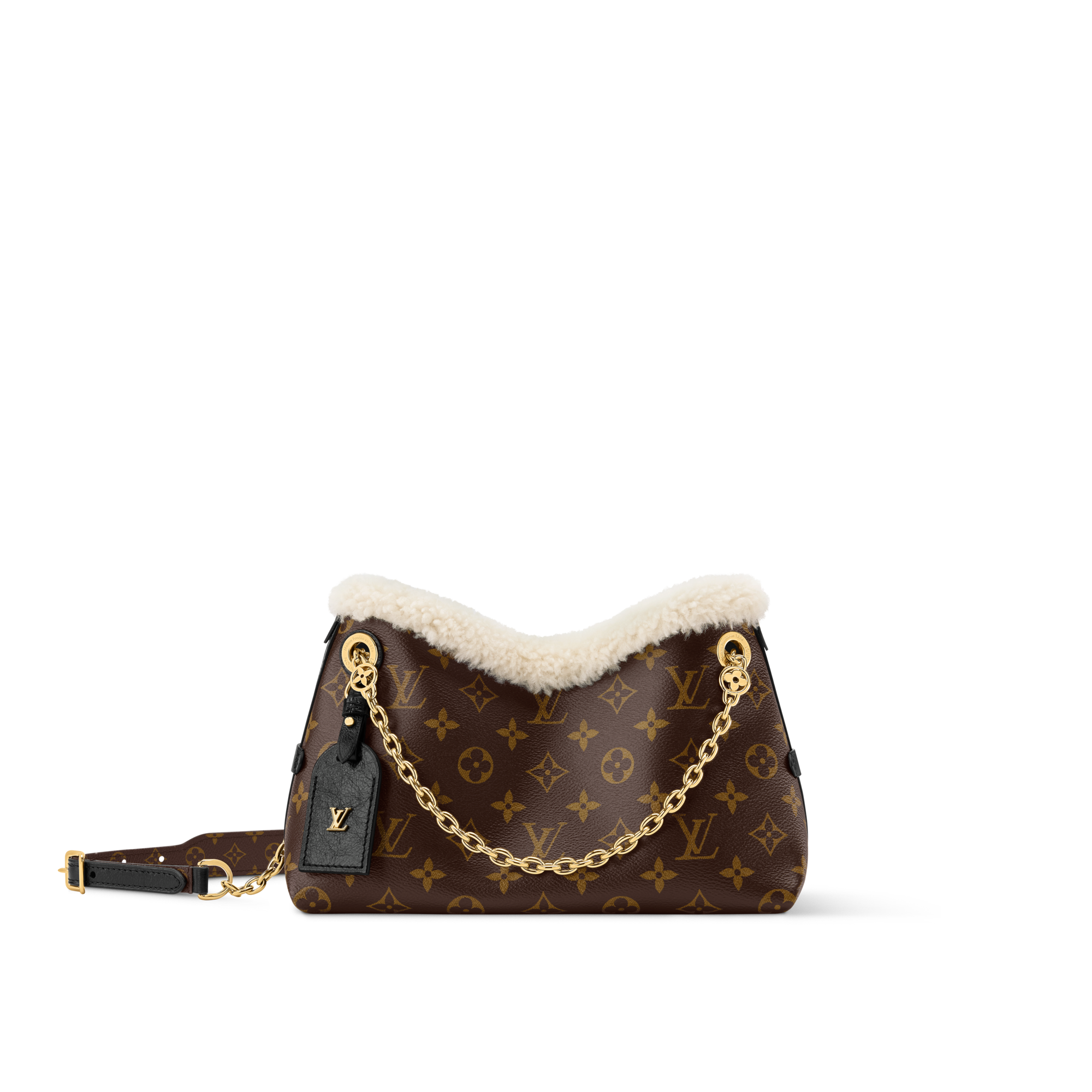CarryAll BB H33 in Đồ Nữ