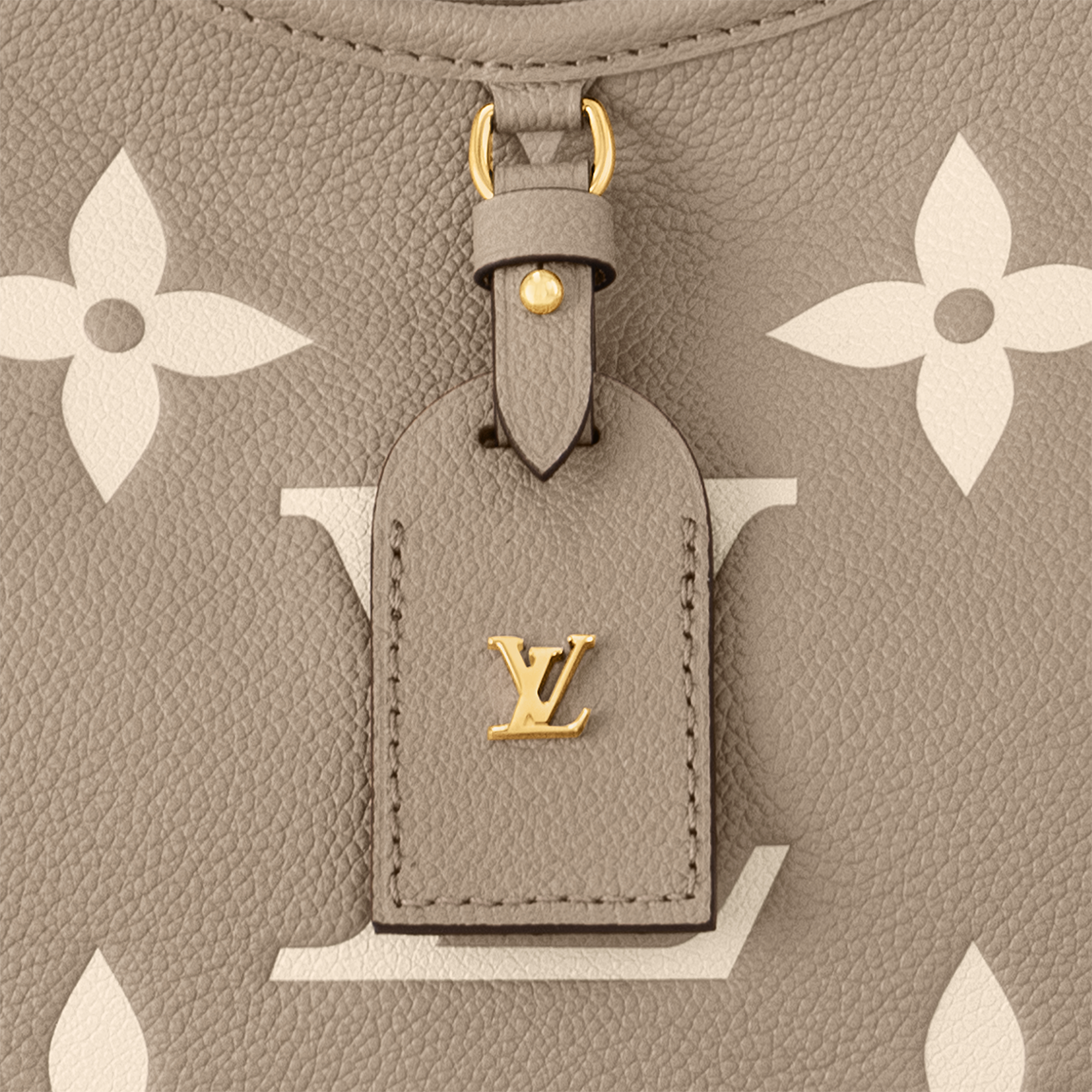 Túi CarryAll PM Da Bicolor Monogram Empreinte in Đồ Nữ