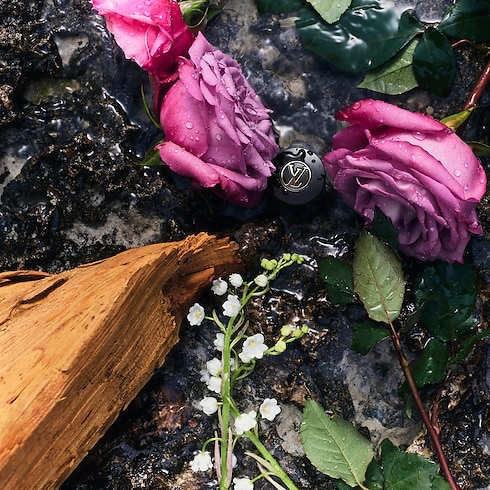 Nước Hoa eLVes Louis Vuitton in Nước hoa và Làm đẹp's Tất cả Nước hoa } collections by Louis Vuitton (Thu phóng sản phẩm)