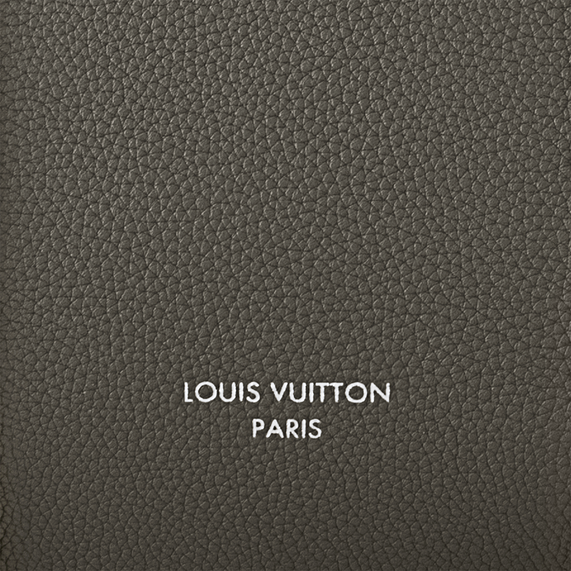 Túi Georges Tote MM Các loại da khác in Túi và Phụ kiện bằng da