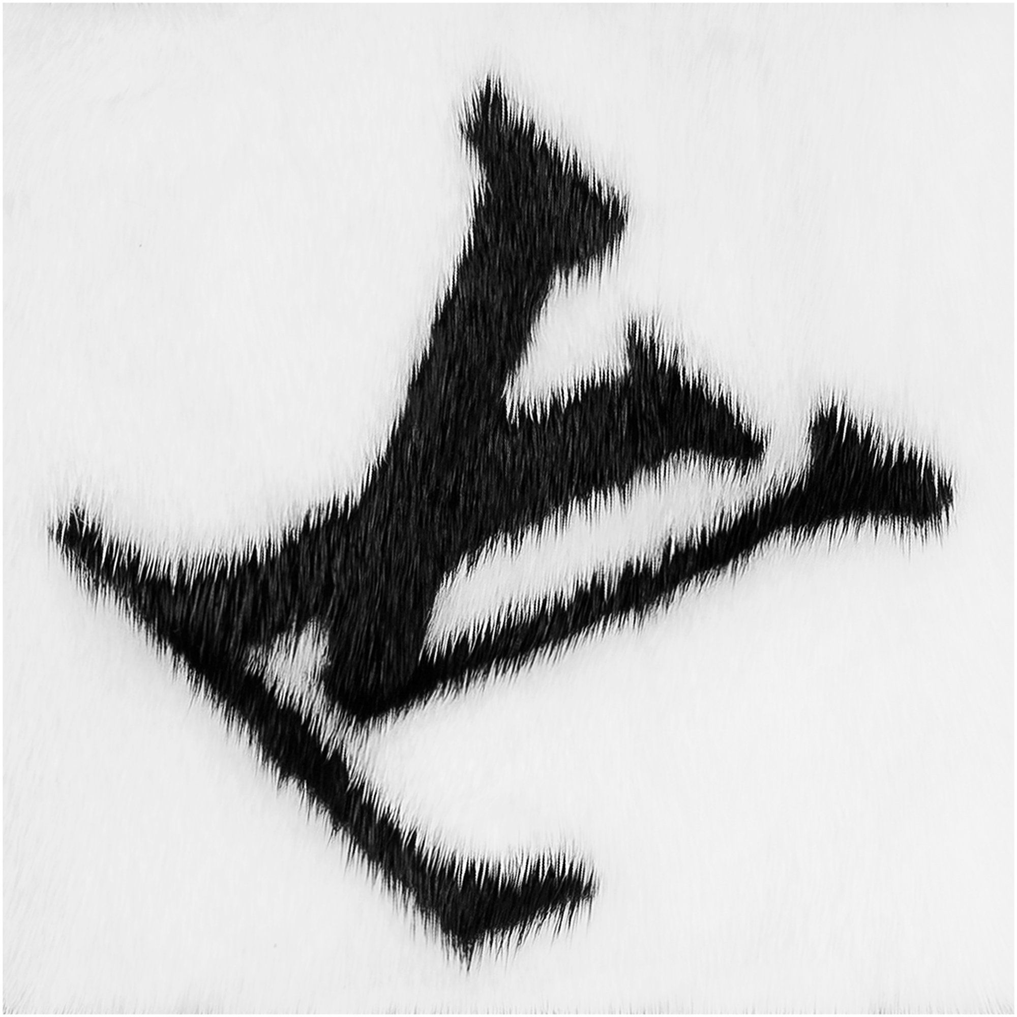 Khăn Quàng Gogram Fur . in Đồ Nữ