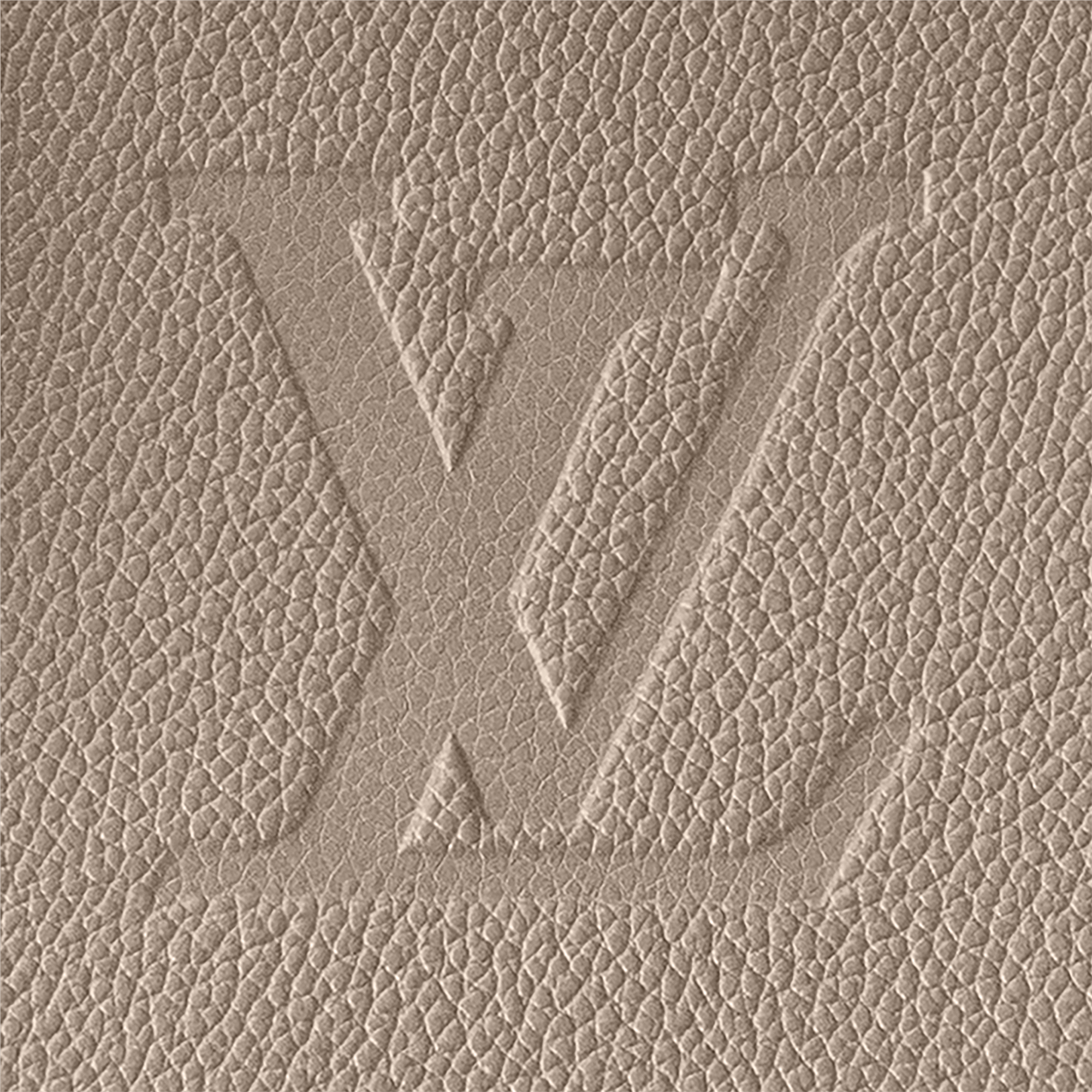 Túi Grand Palais Monogram Empreinte in Đồ Nữ