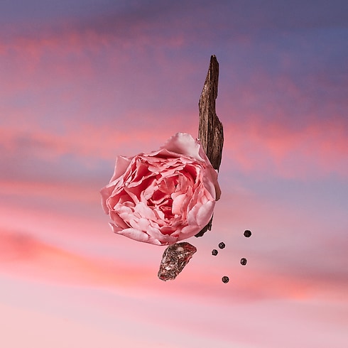 Nước Hoa Les Sables Roses in Nước hoa và Làm đẹp's Các bộ sưu tập Nước hoa dành cho Nam collections by Louis Vuitton (Thu phóng sản phẩm)