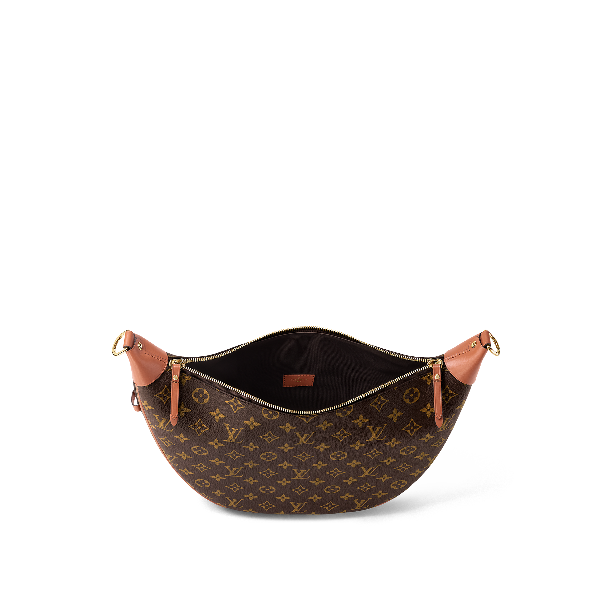 Túi Loop Hobo Monogram Canvas in Đồ Nữ