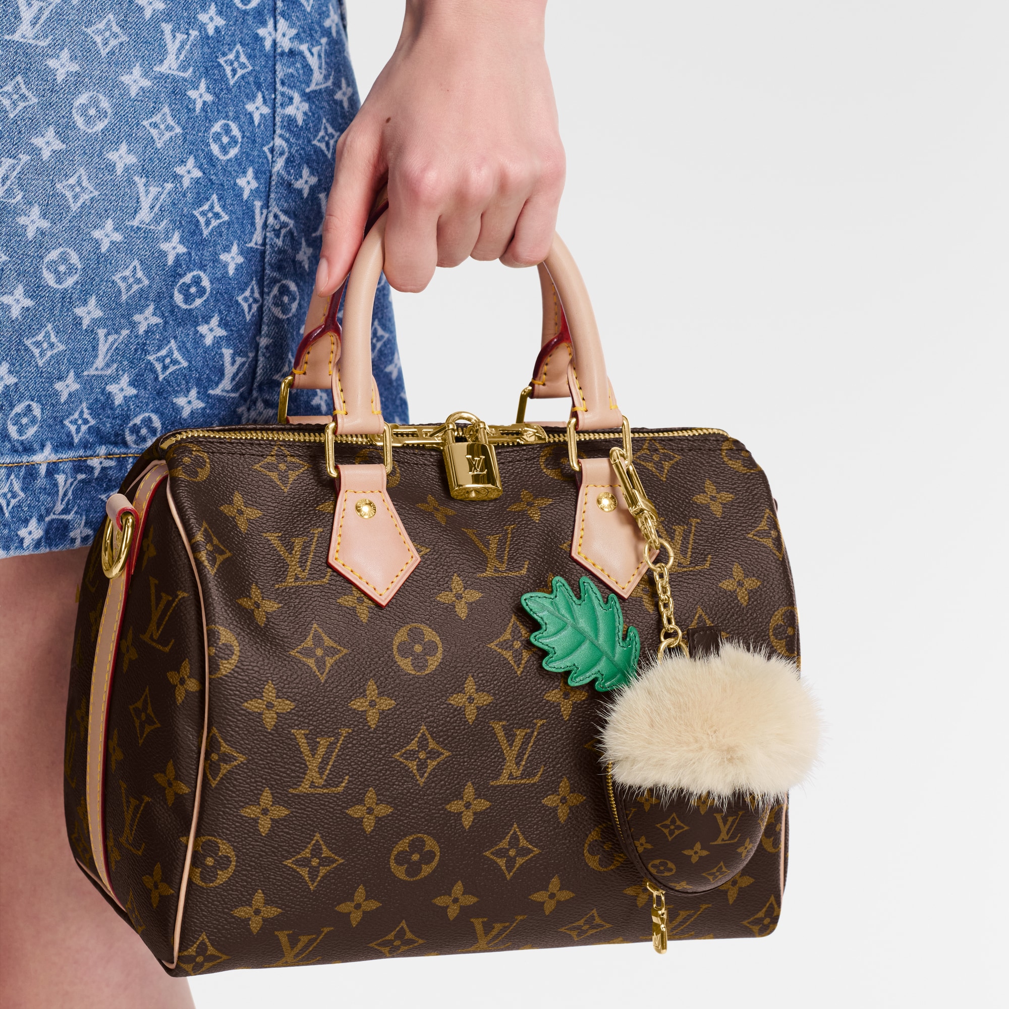 Phụ Kiện LV Acorn Pouch . in Đồ Nữ