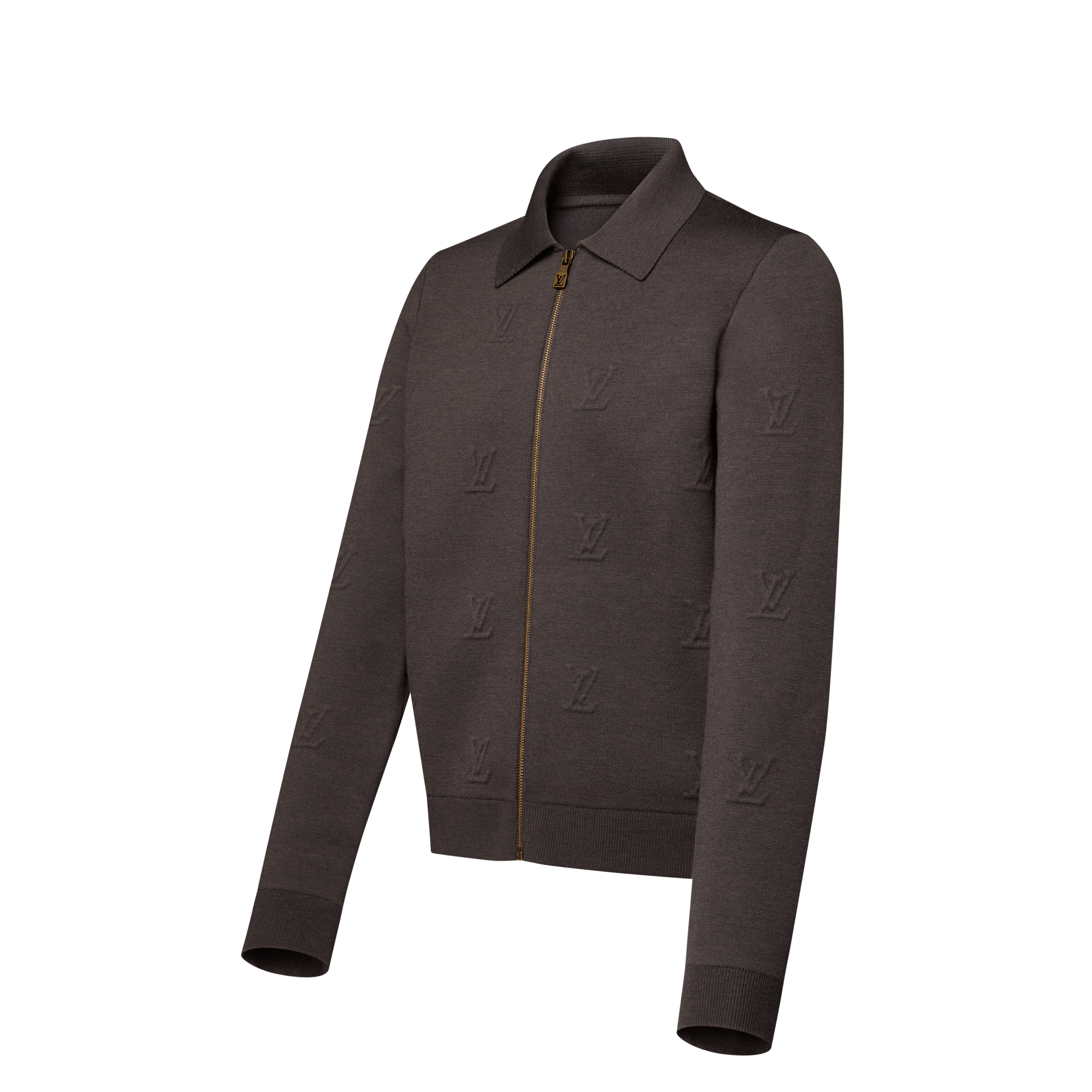 LV Blason Embossed Zipped Blouson  in Đồ Nam