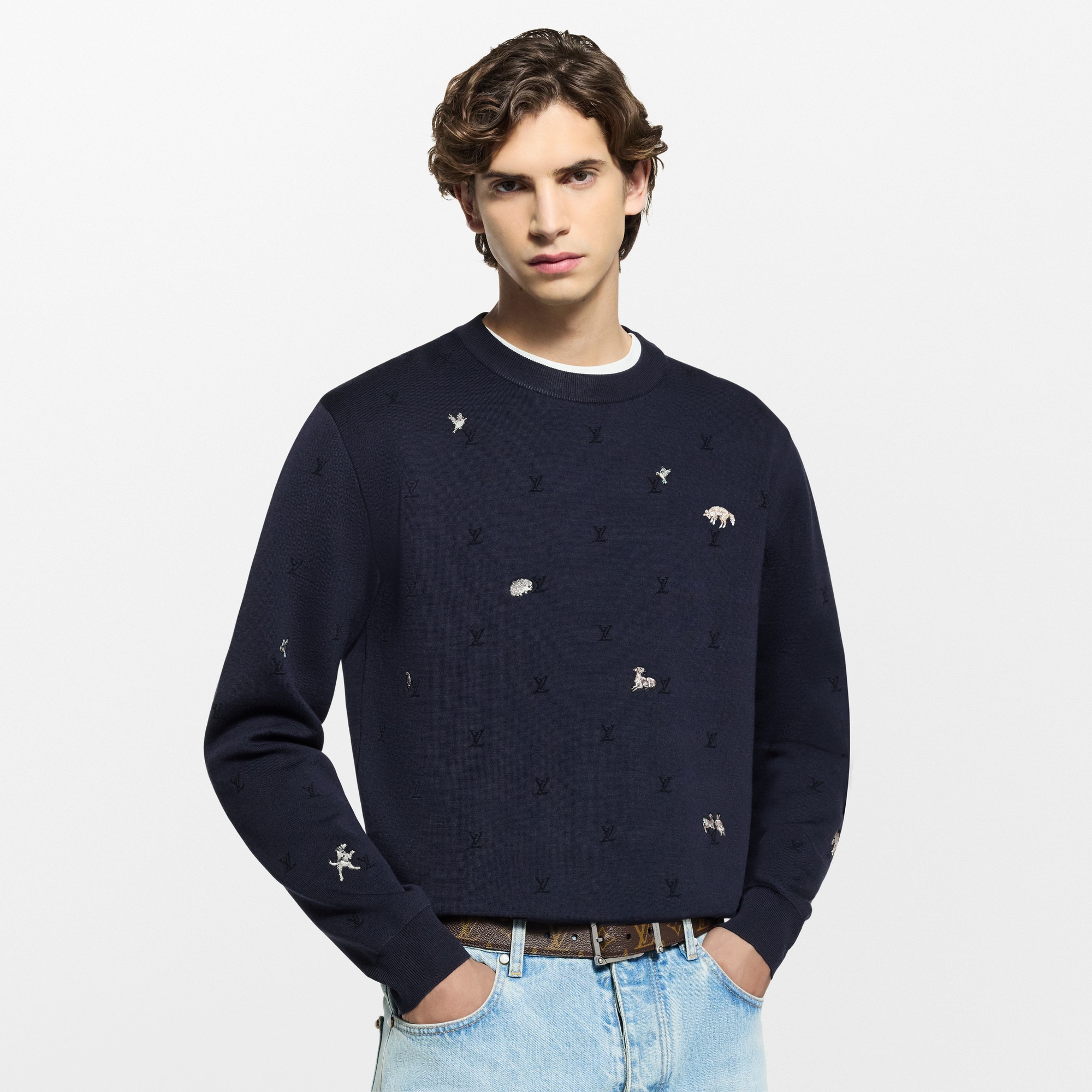 LV Blason Long-Sleeved Crewneck  in Đồ Nam