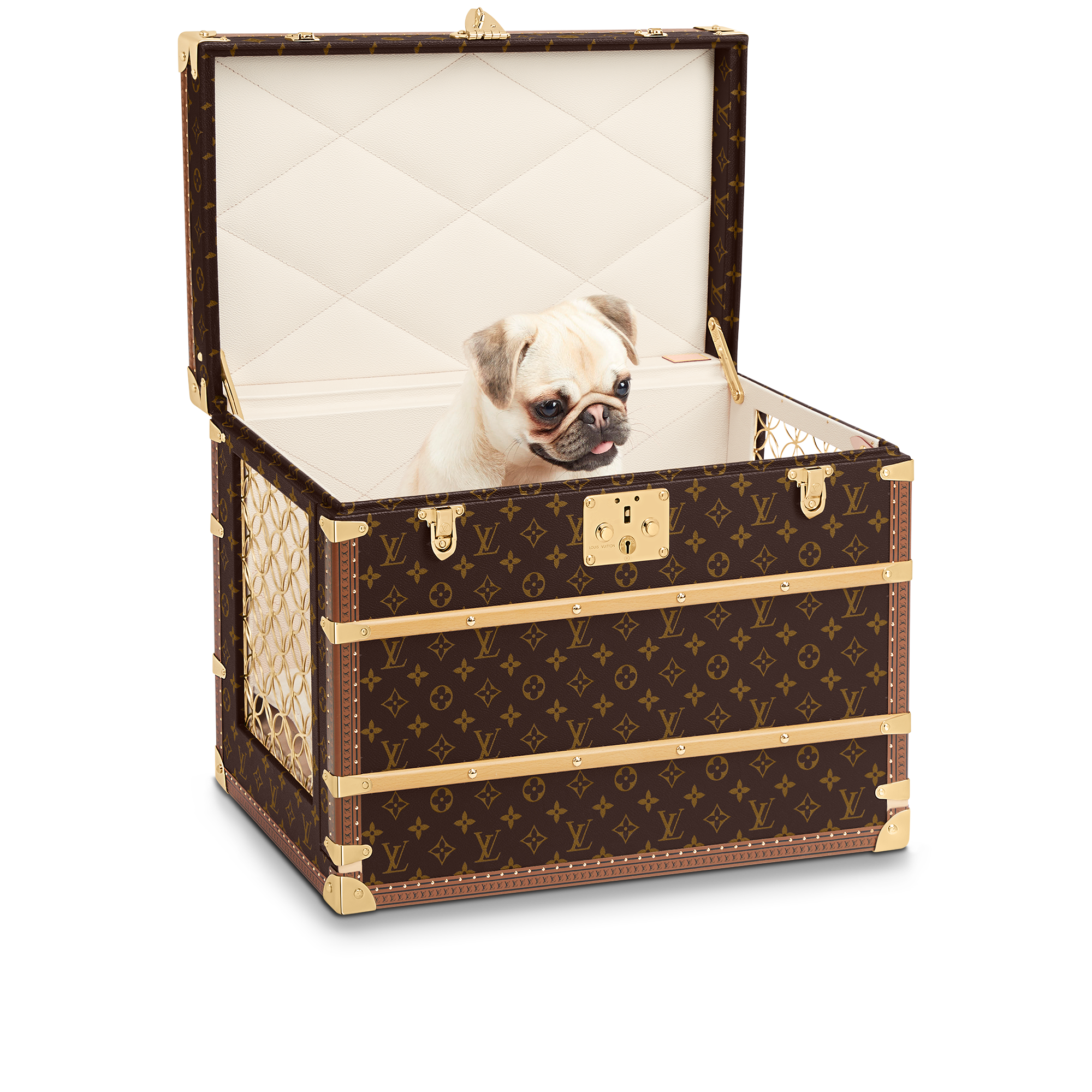 Rương Đựng Thú Cưng Malle Chien Monogram in Rương, Phụ kiện du lịch và Trang trí nội thất
