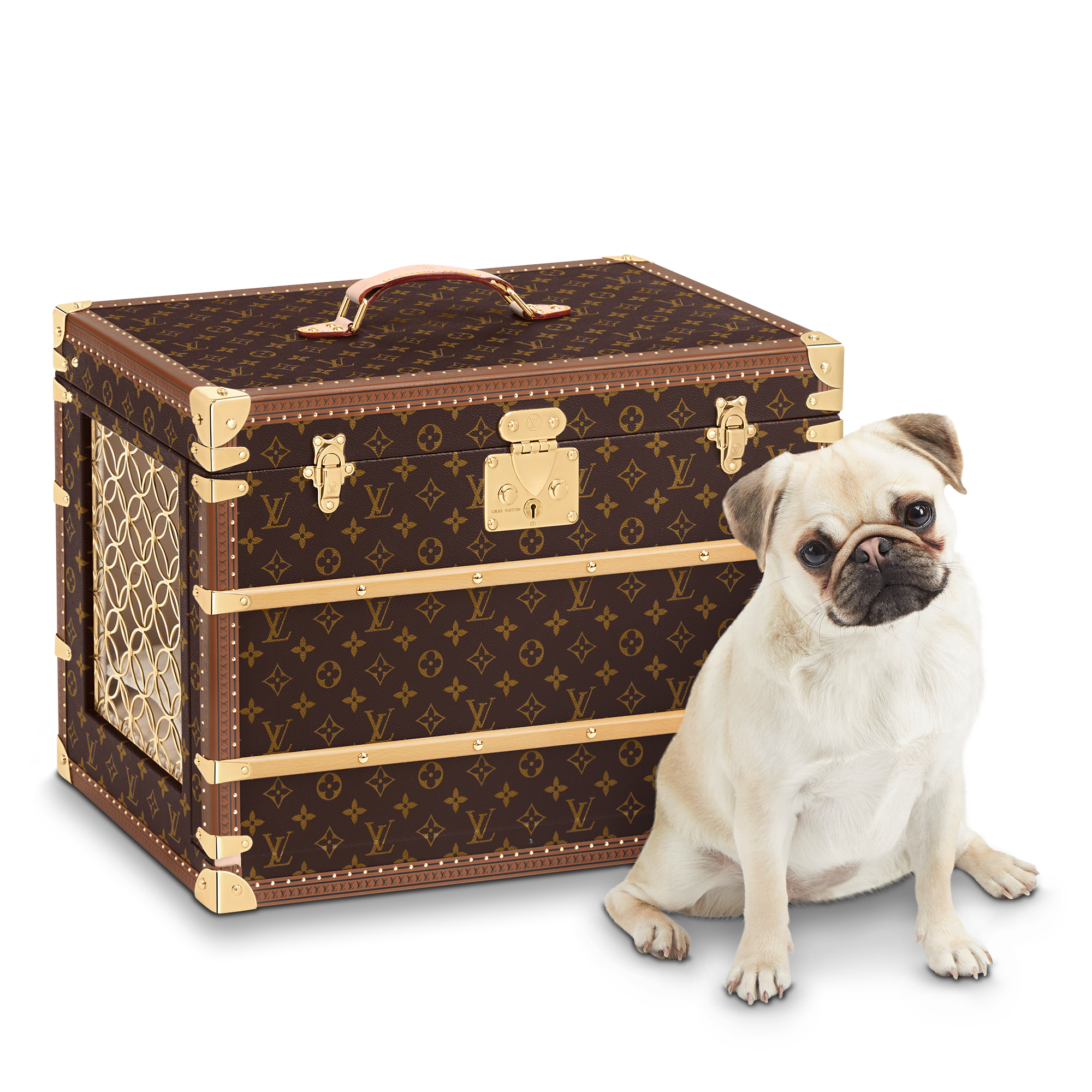 Rương Đựng Thú Cưng Malle Chien Monogram in Rương, Phụ kiện du lịch và Trang trí nội thất