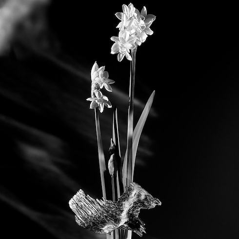 Nước Hoa Matière Noire in Nước hoa và Làm đẹp's Các bộ sưu tập Nước hoa dành cho Nữ collections by Louis Vuitton (Thu phóng sản phẩm)