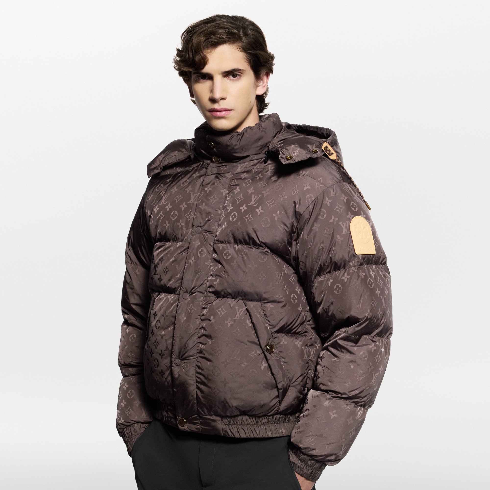 Monogram Down Blouson  in Đồ Nam