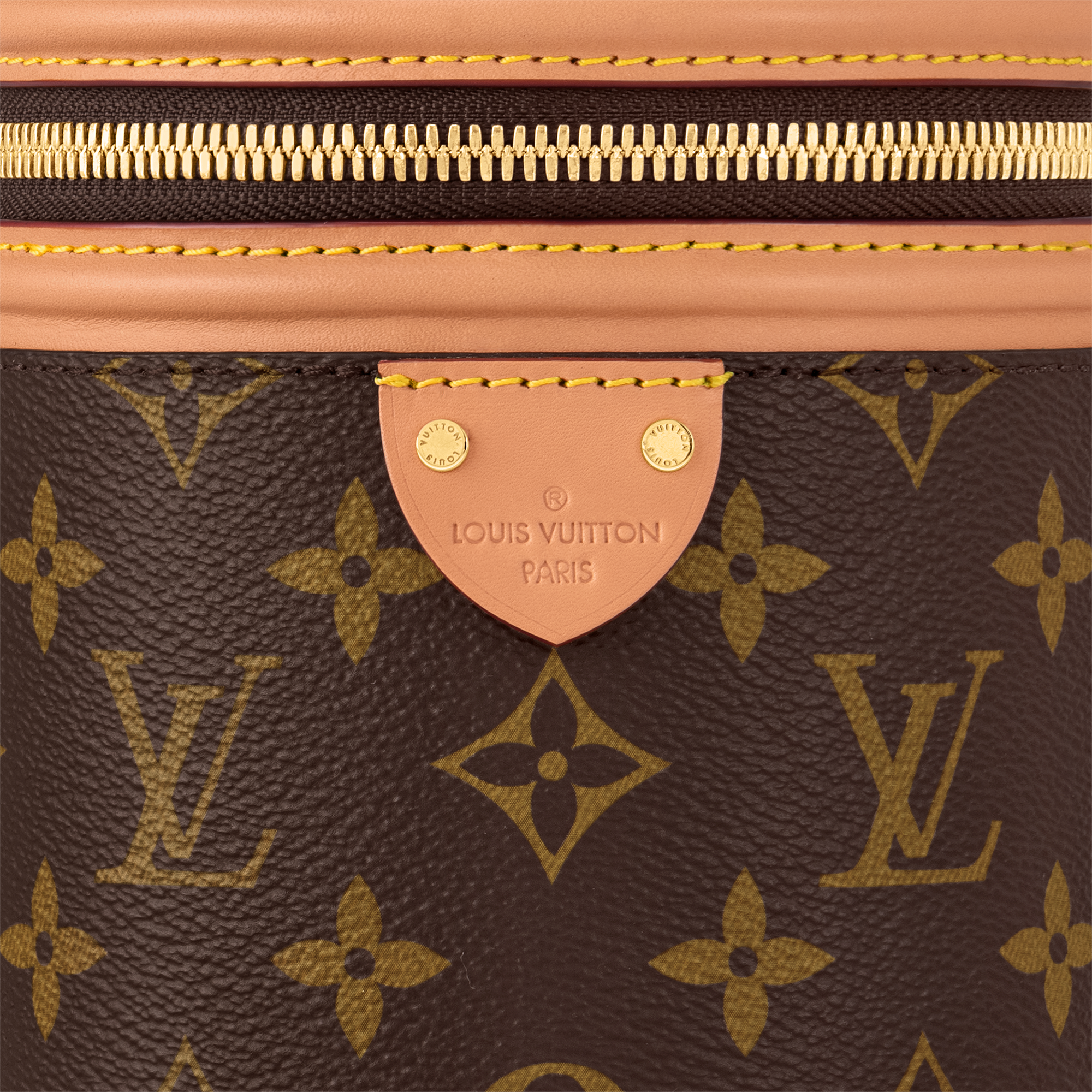 Túi Nano Cannes Monogram in Đồ Nữ