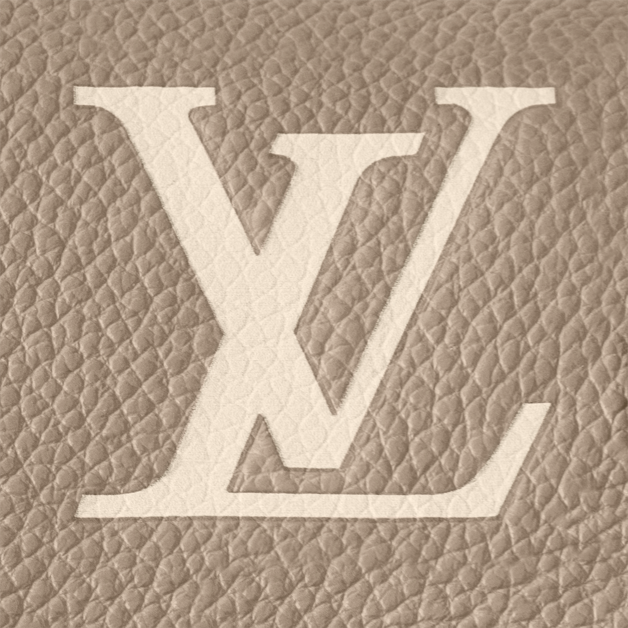 Túi Nano Diane Da Bicolor Monogram Empreinte in Đồ Nữ