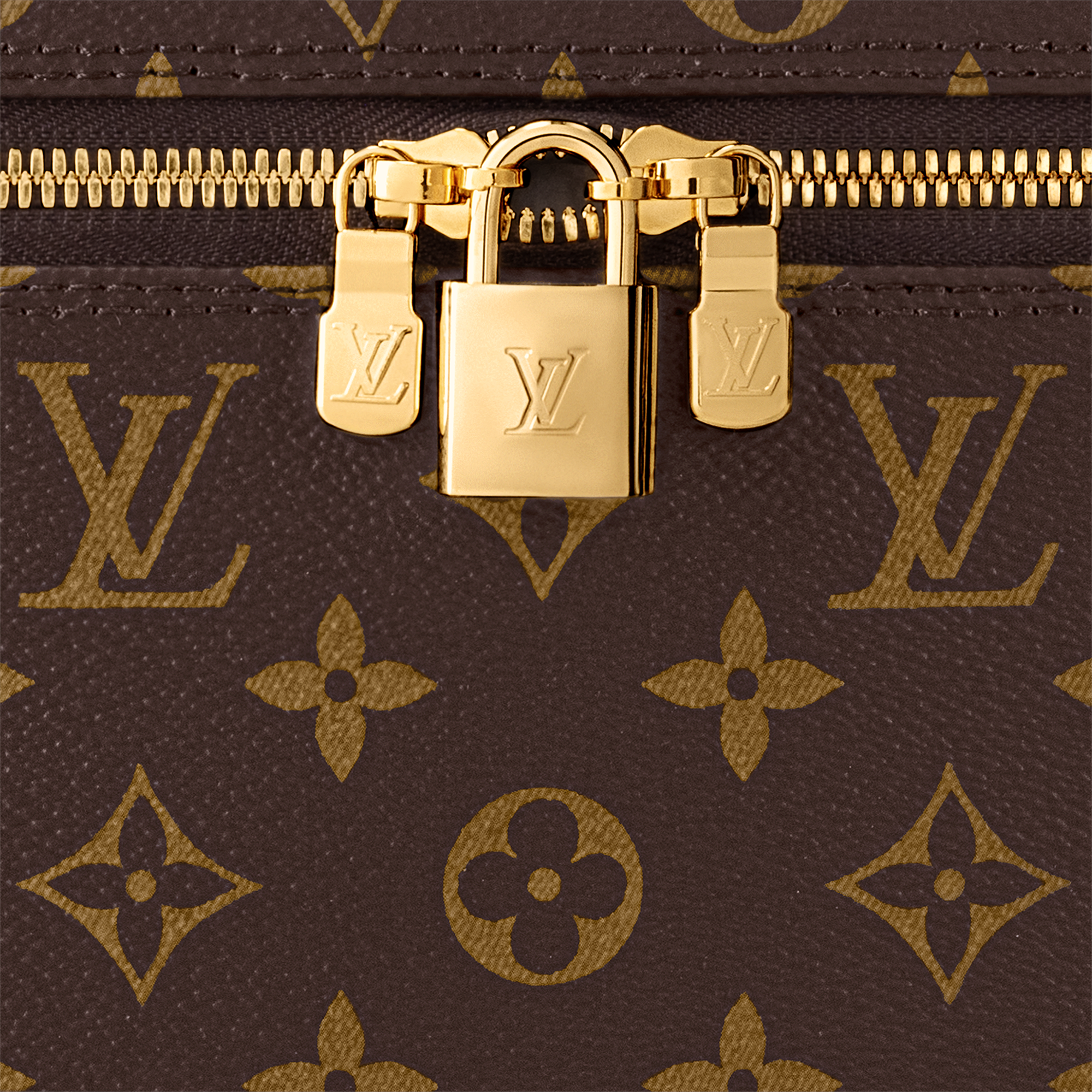 Túi Nice Vanity Monogram Canvas in Đồ Nữ