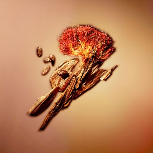 Nước Hoa Nouveau Monde in Nước hoa và Làm đẹp's Các bộ sưu tập Nước hoa dành cho Nam collections by Louis Vuitton (Thu phóng sản phẩm)