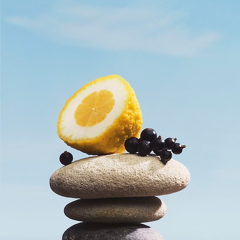 Nước Hoa Pacific Chill in Nước hoa và Làm đẹp's Các bộ sưu tập Nước hoa dành cho Nam collections by Louis Vuitton (Thu phóng sản phẩm)