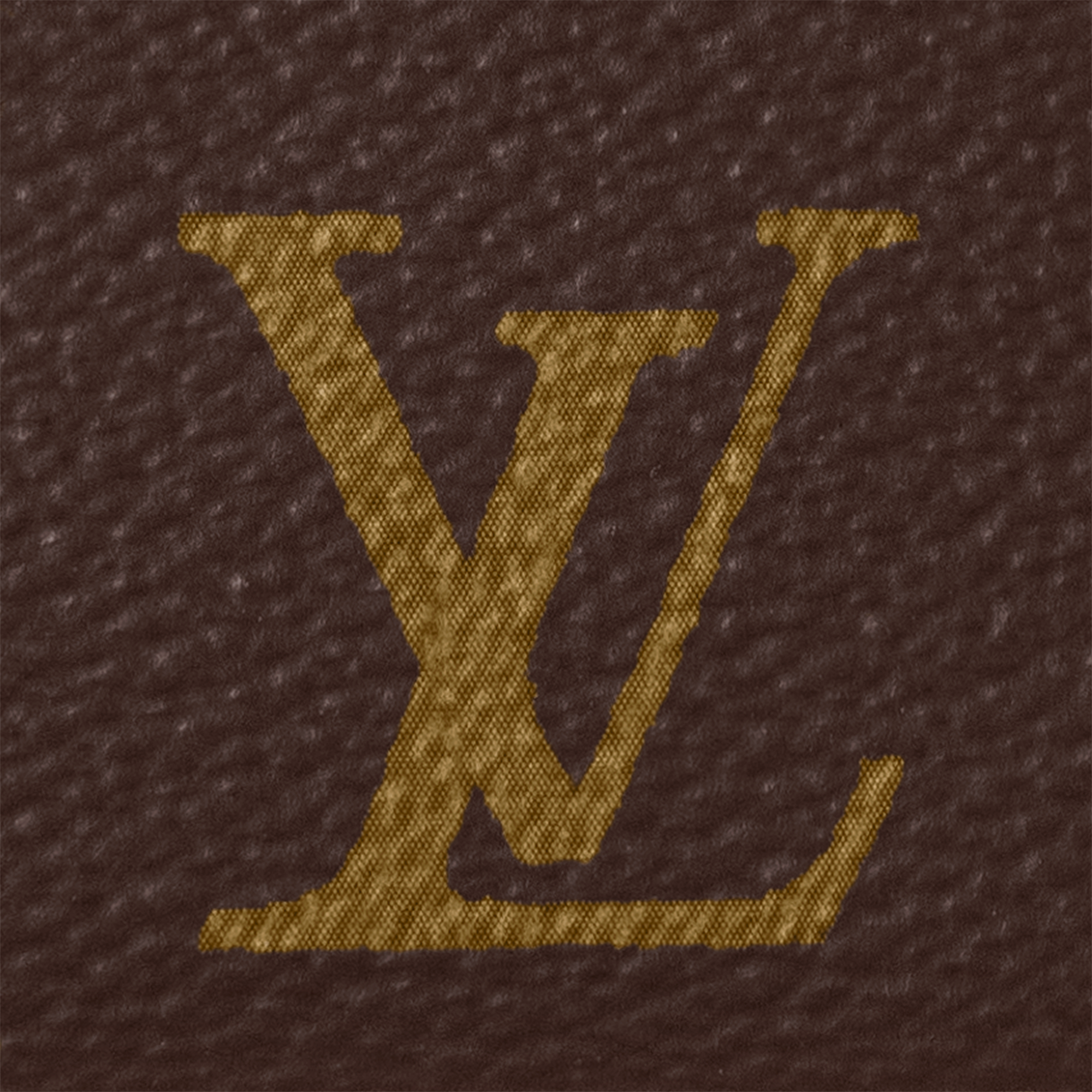 Túi Pochette Accessoires Monogram in Đồ Nữ