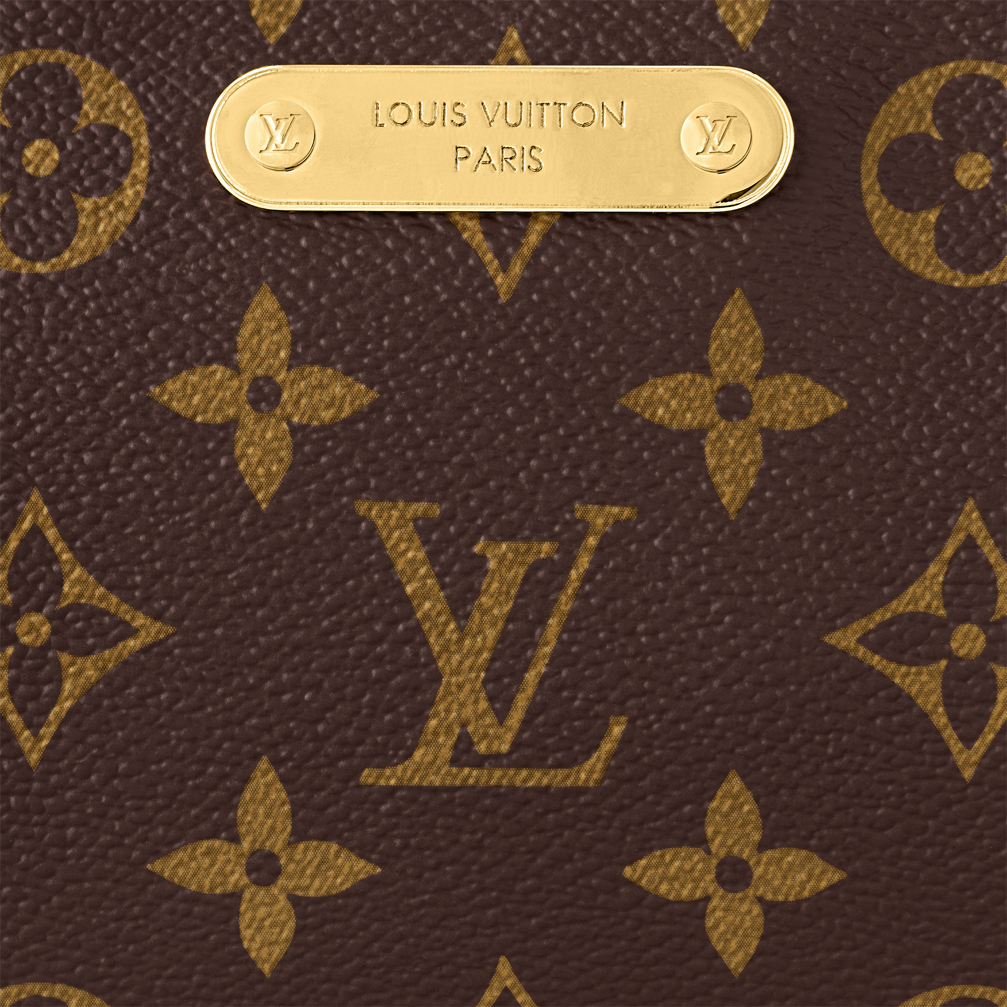 Túi Liv Pochette Monogram in Đồ Nữ