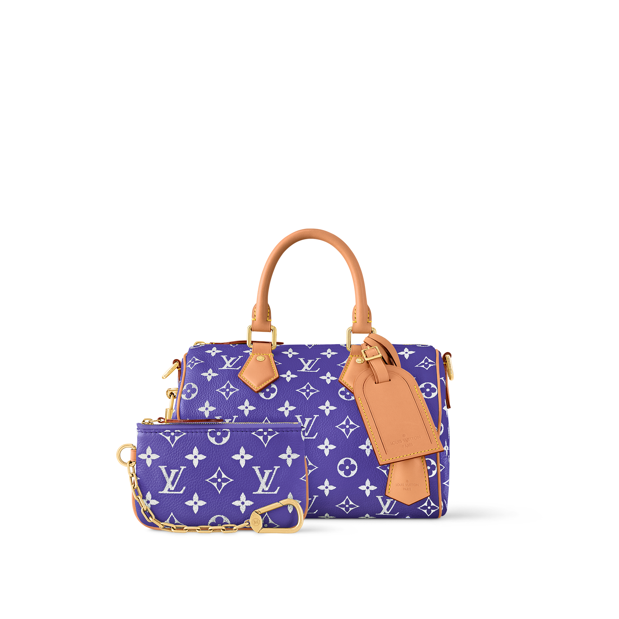 Túi Speedy P9 Bandoulière 25 Autres Cuirs Monogram in Les Extraordinaires