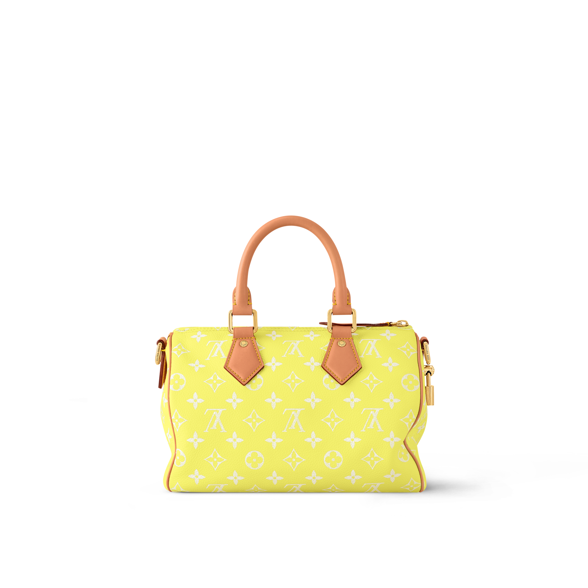 Túi Speedy P9 Bandoulière 25 Autres Cuirs Monogram in Les Extraordinaires