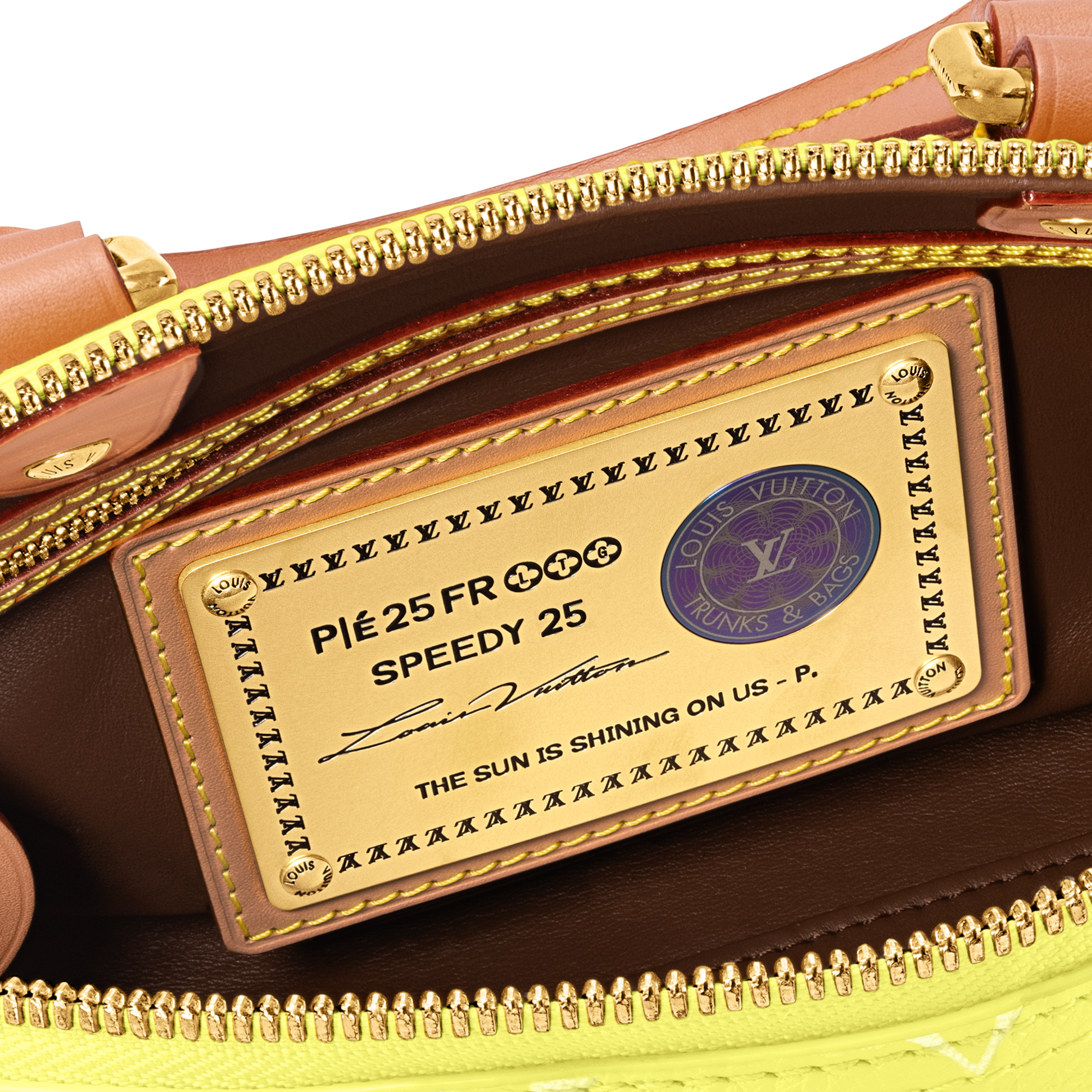 Túi Speedy P9 Bandoulière 25 Autres Cuirs Monogram in Les Extraordinaires