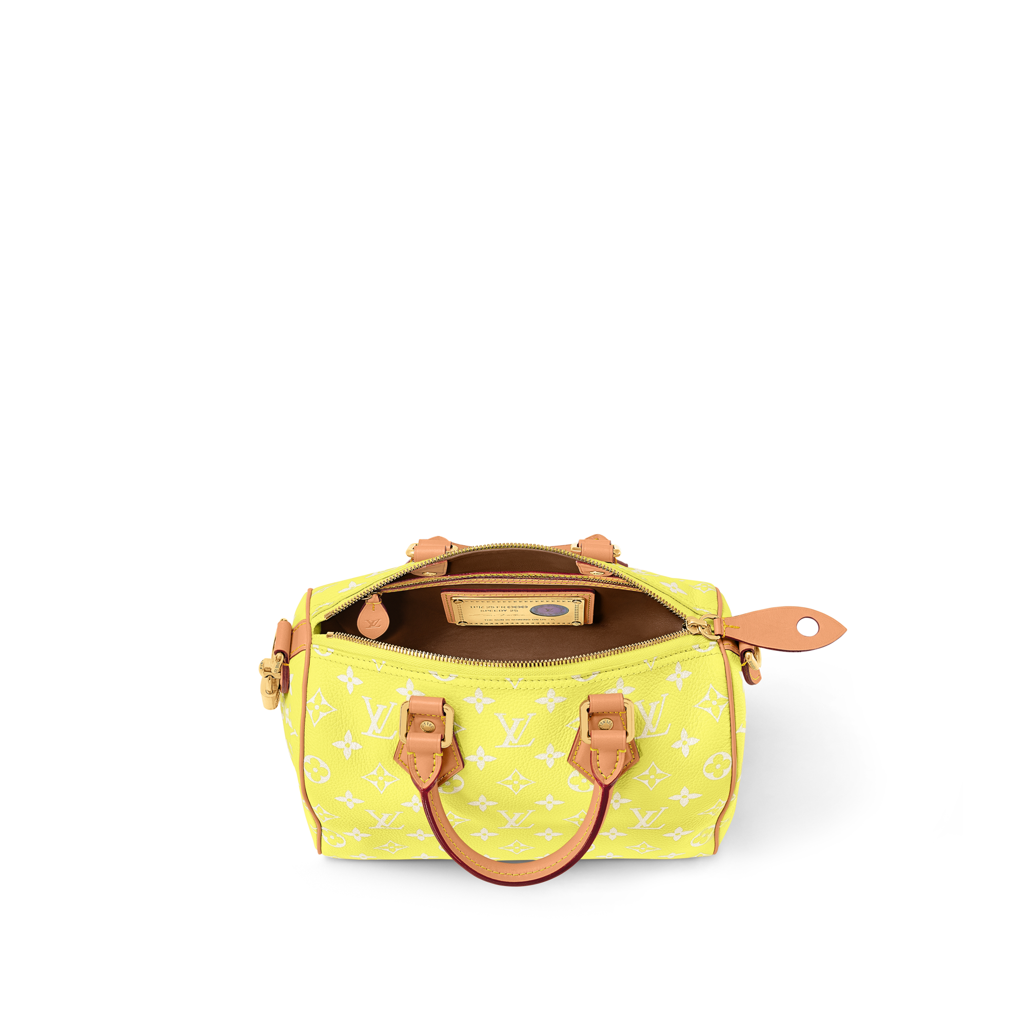 Túi Speedy P9 Bandoulière 25 Autres Cuirs Monogram in Les Extraordinaires