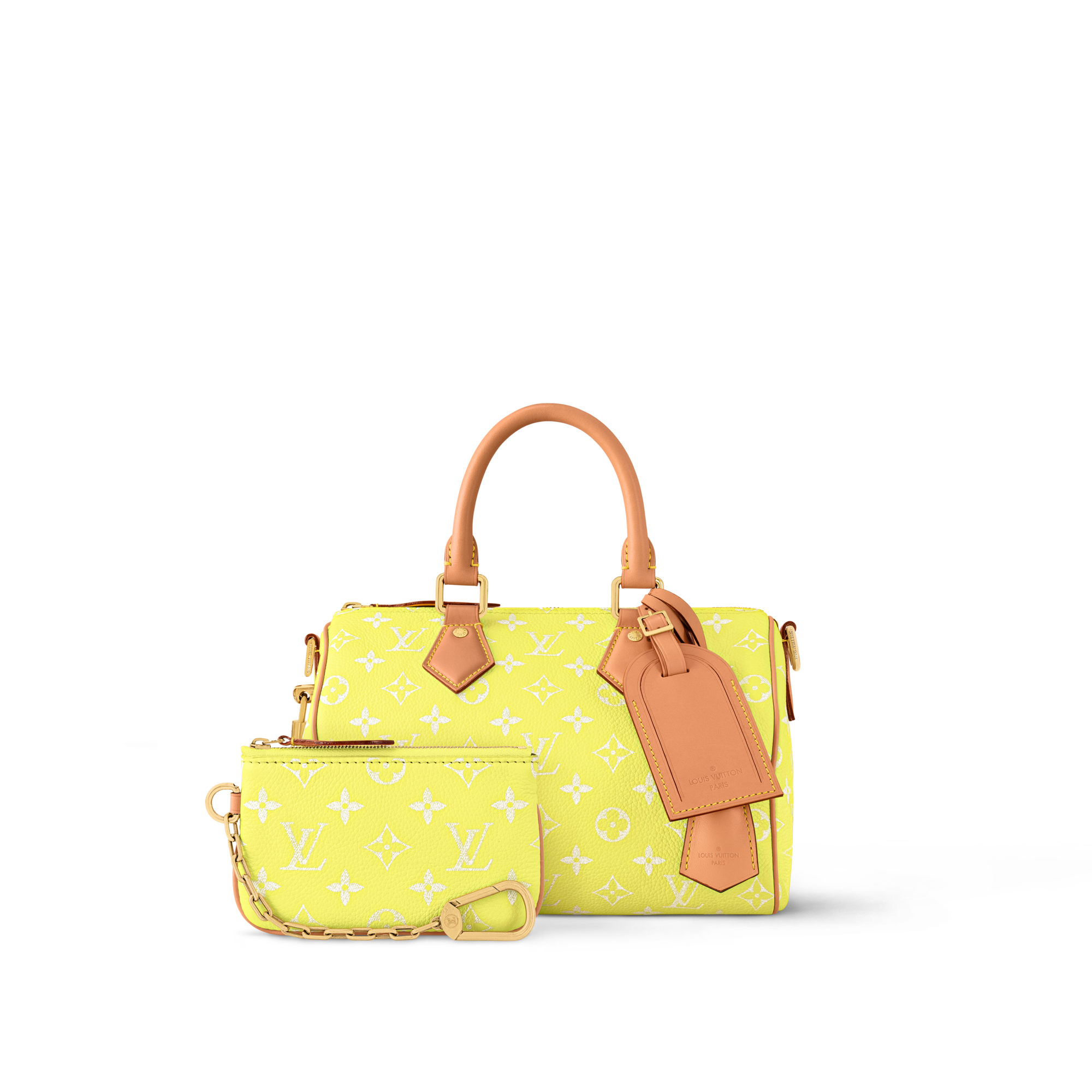 Túi Speedy P9 Bandoulière 25 Autres Cuirs Monogram in Les Extraordinaires