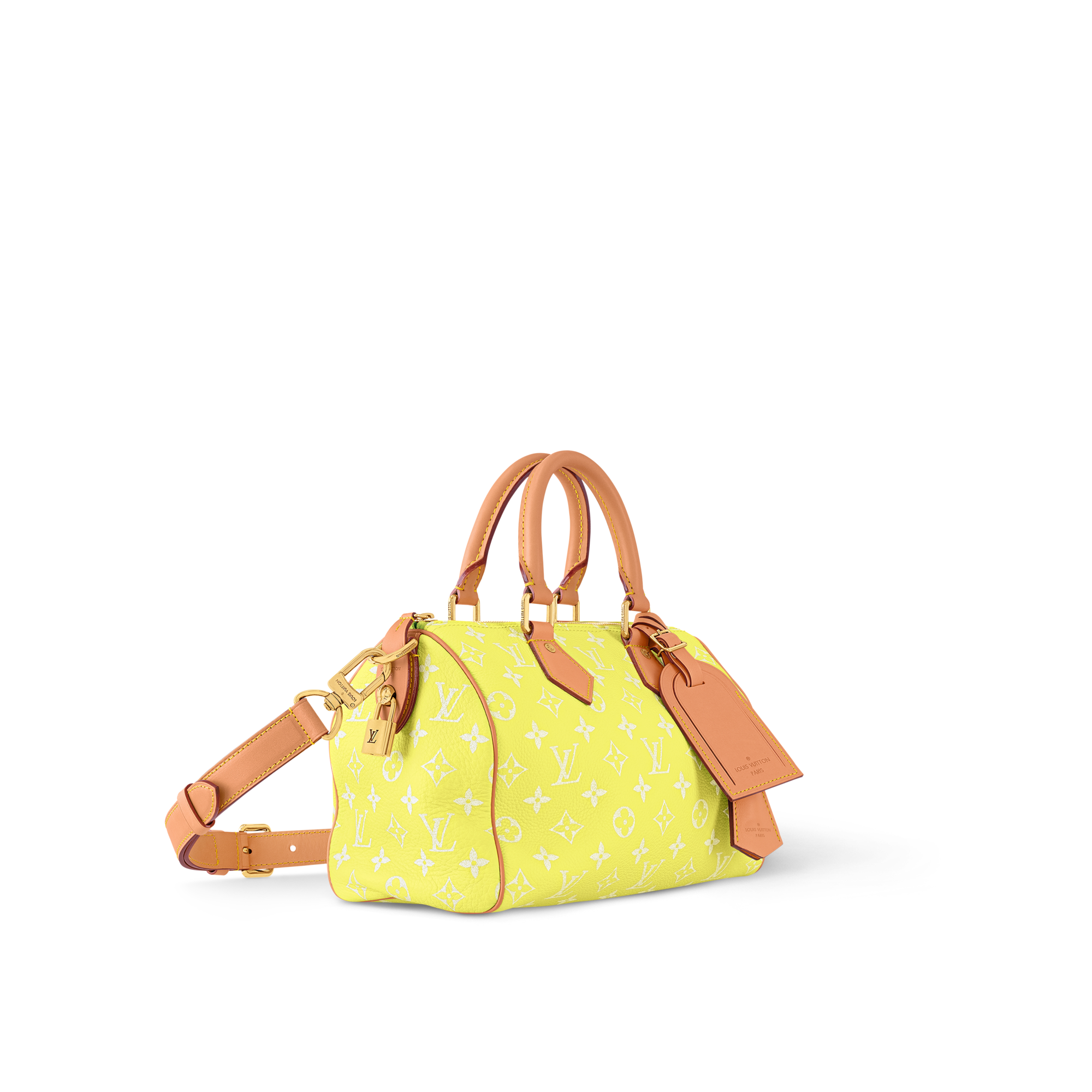 Túi Speedy P9 Bandoulière 25 Autres Cuirs Monogram in Les Extraordinaires