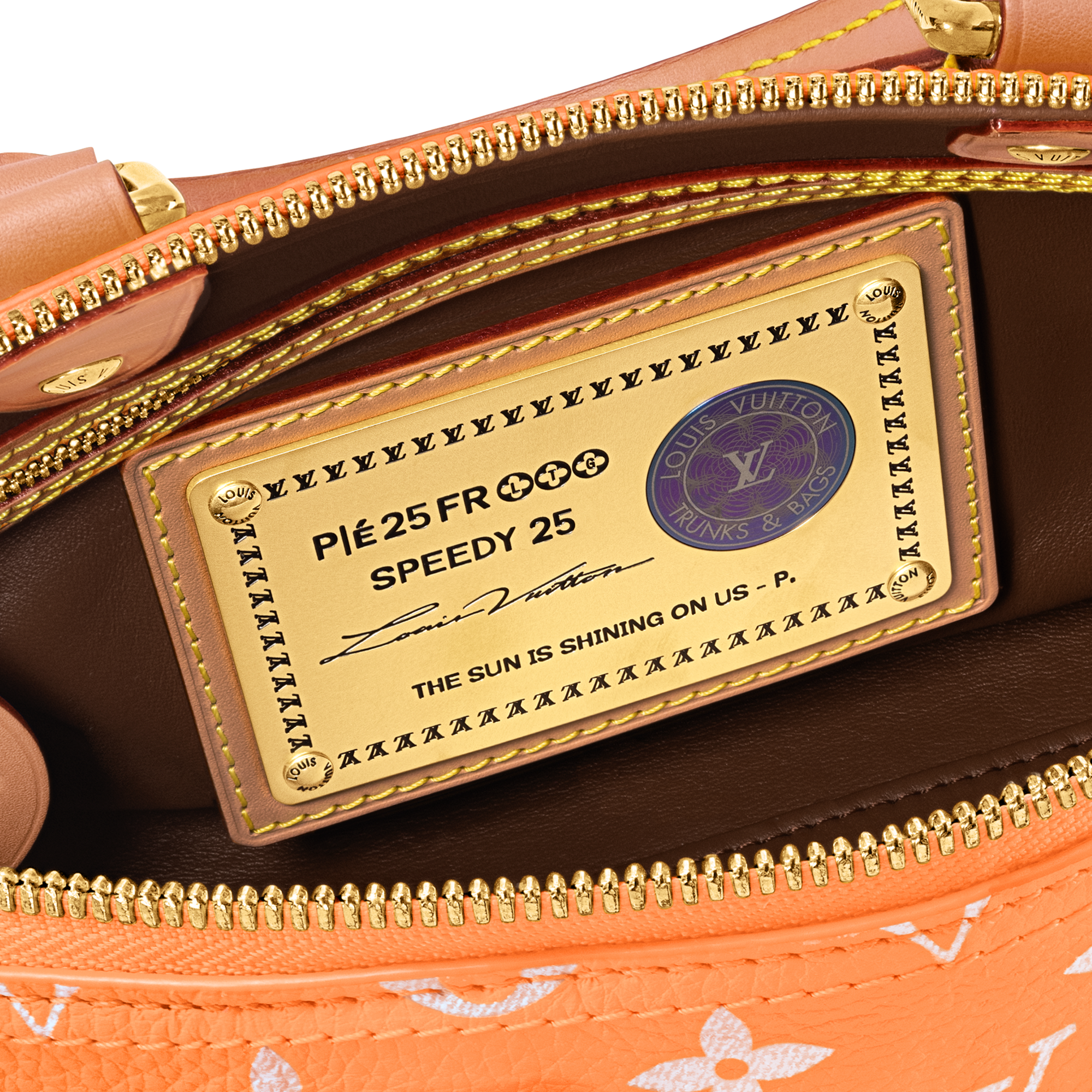 Túi Speedy P9 Bandoulière 25 Autres Cuirs Monogram in Les Extraordinaires