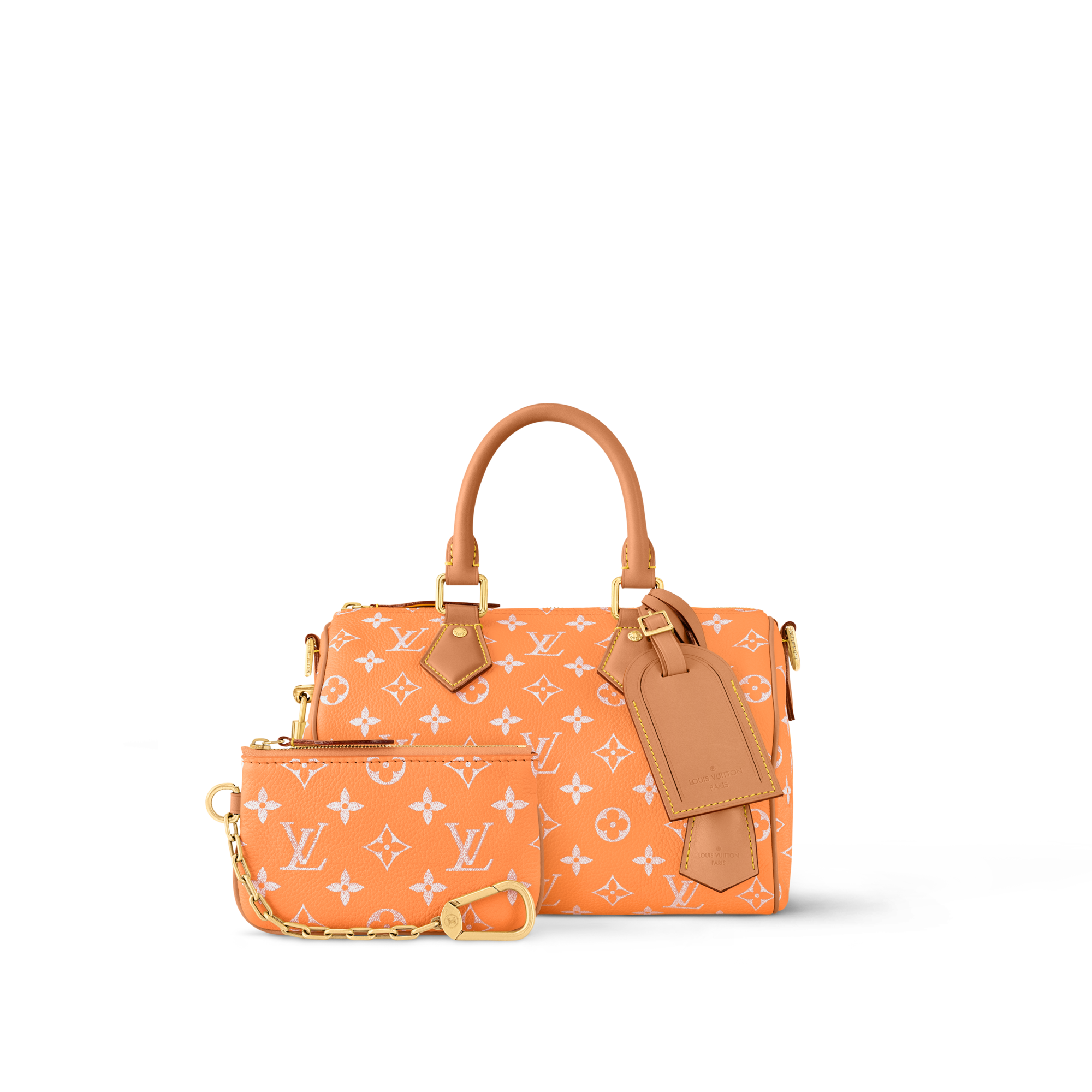Túi Speedy P9 Bandoulière 25 Autres Cuirs Monogram in Les Extraordinaires