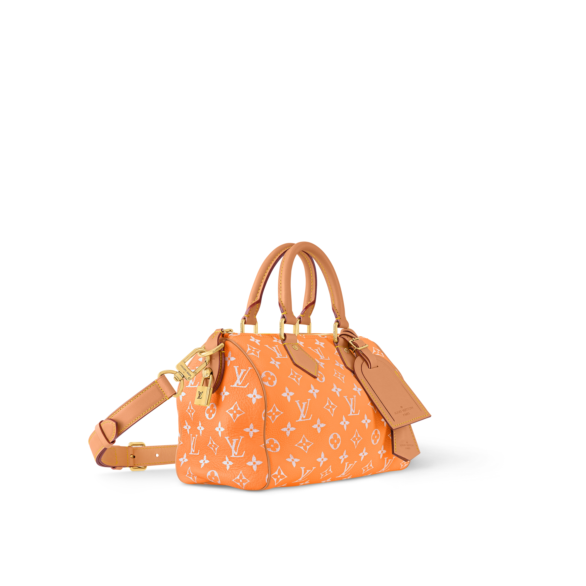 Túi Speedy P9 Bandoulière 25 Autres Cuirs Monogram in Les Extraordinaires