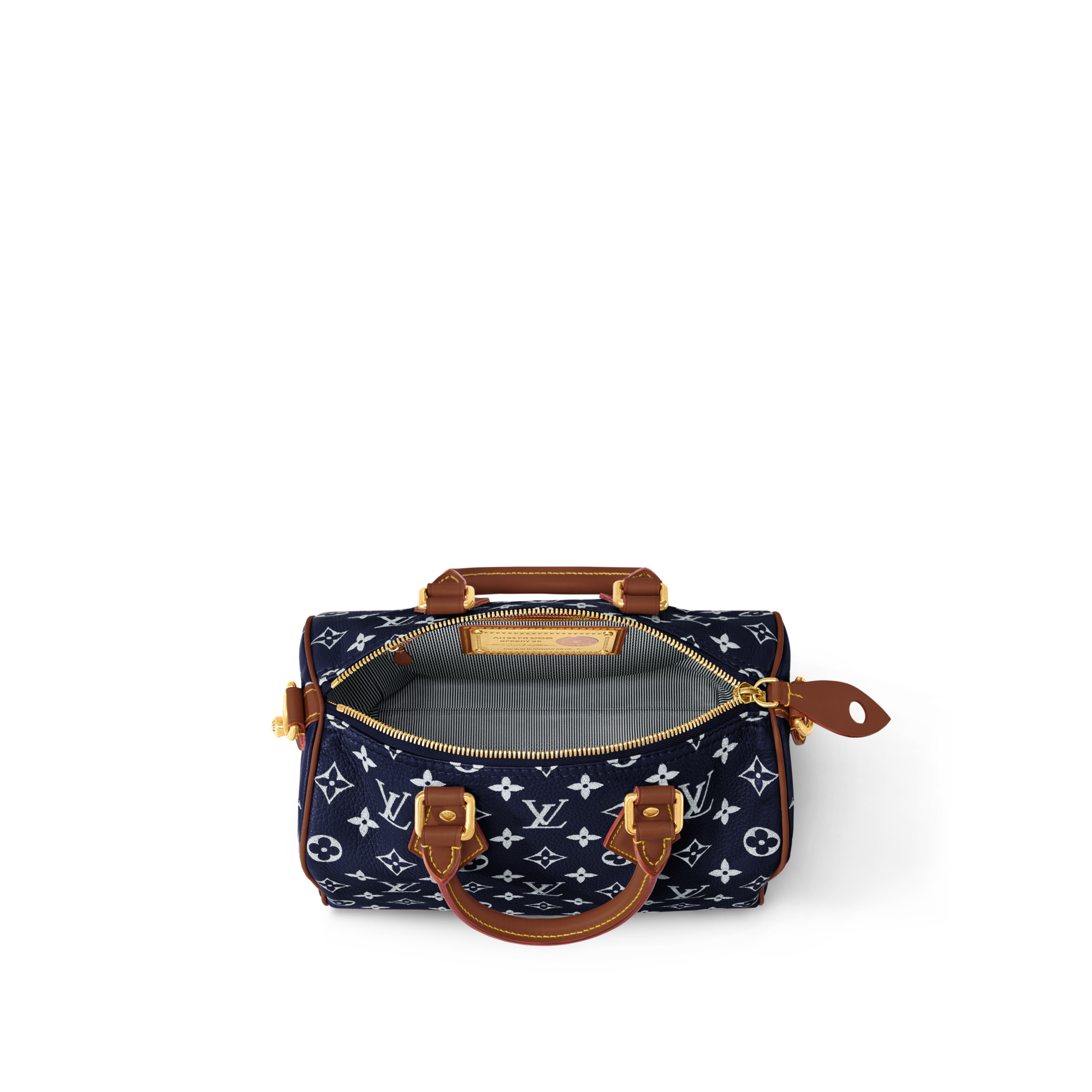 Túi Speedy P9 Bandoulière 25 H40 in Les Extraordinaires