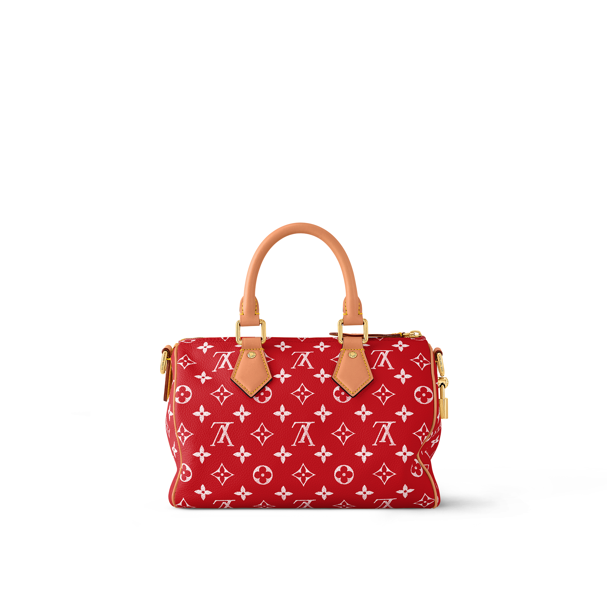 Túi Speedy P9 Bandoulière 25 Autres Cuirs Monogram in Les Extraordinaires