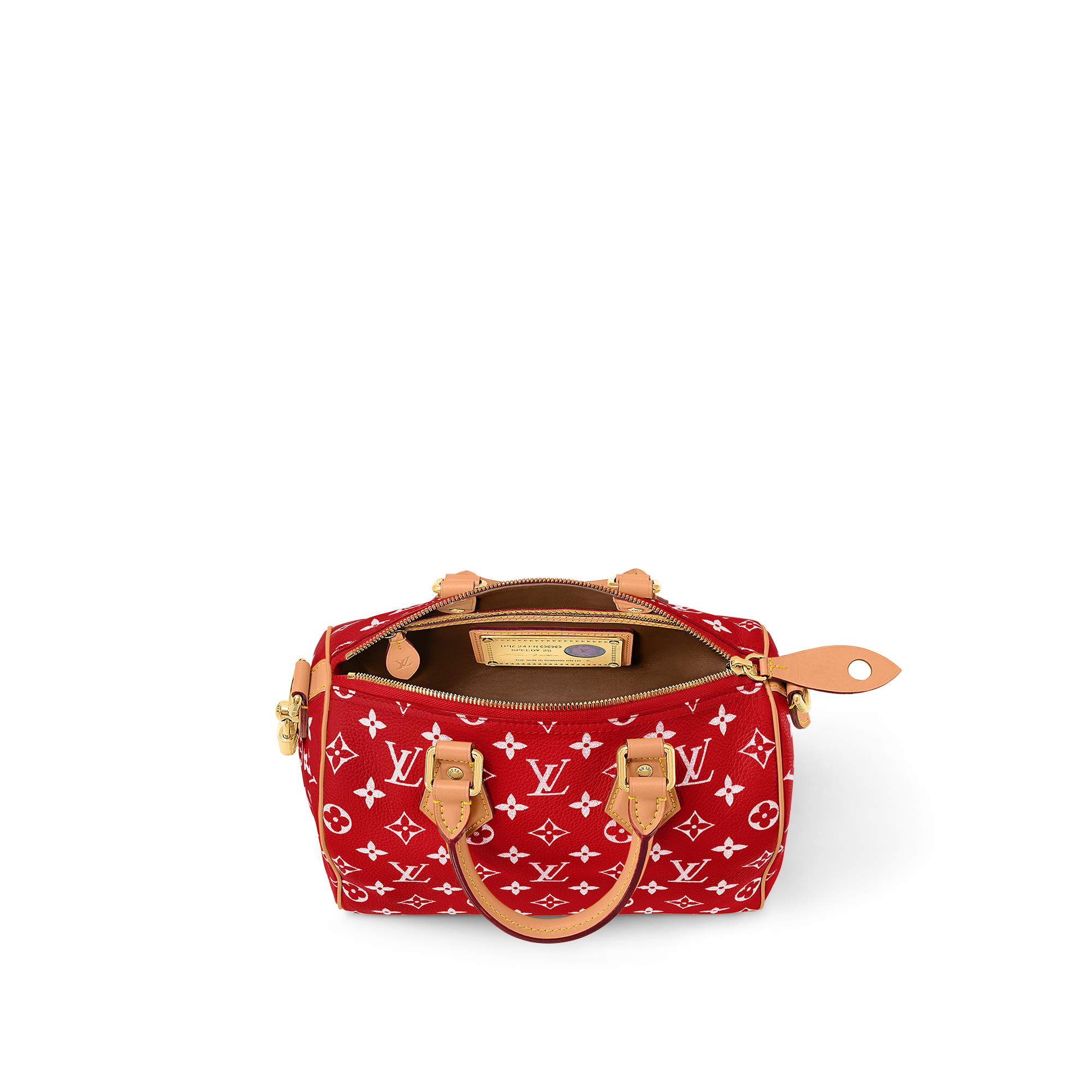 Túi Speedy P9 Bandoulière 25 Autres Cuirs Monogram in Les Extraordinaires