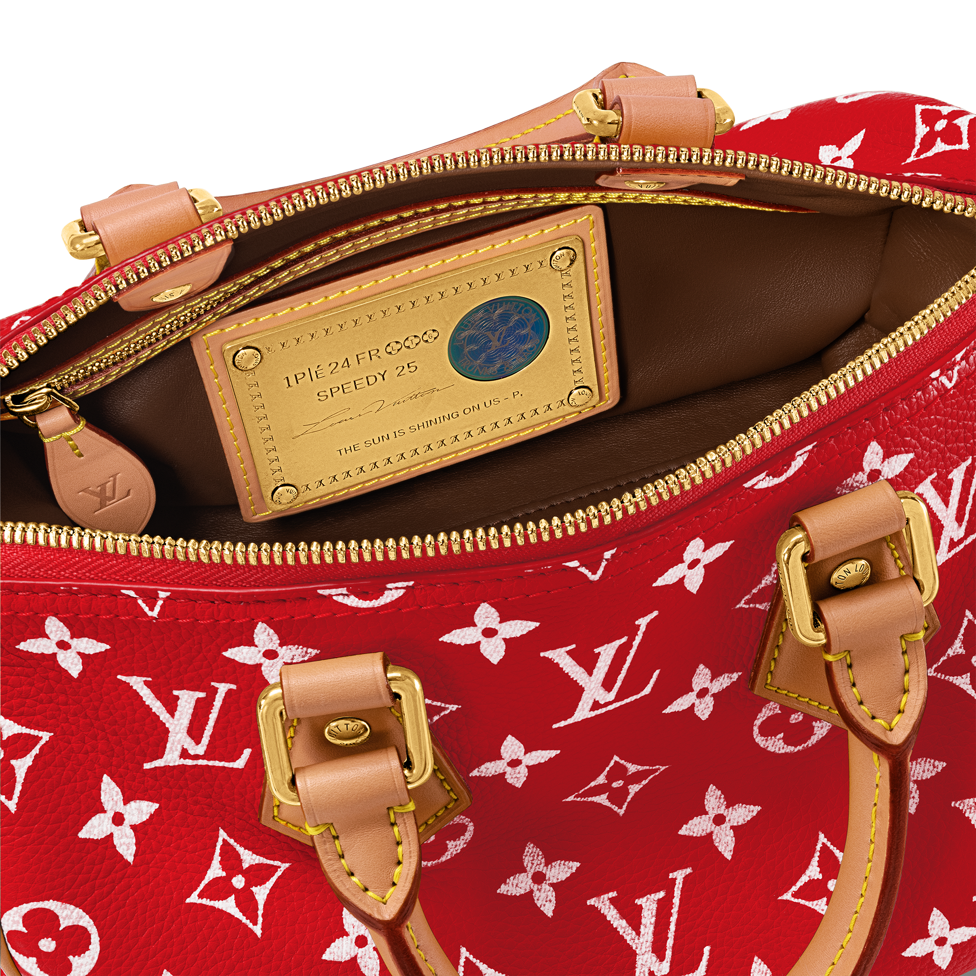 Túi Speedy P9 Bandoulière 25 Autres Cuirs Monogram in Les Extraordinaires