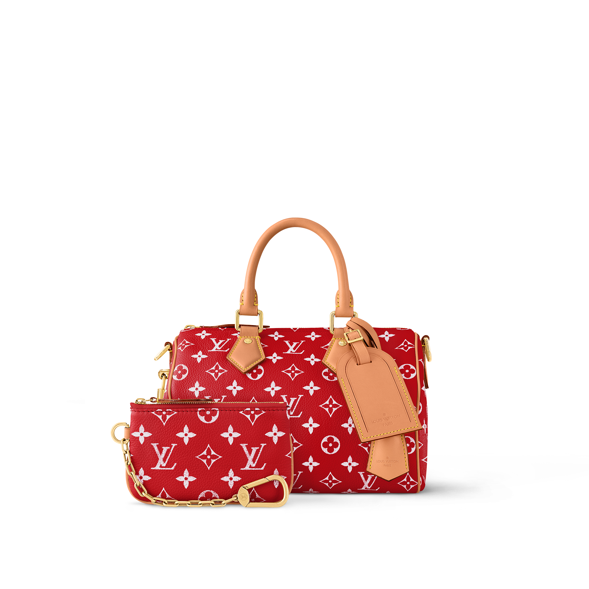 Túi Speedy P9 Bandoulière 25 Autres Cuirs Monogram in Les Extraordinaires
