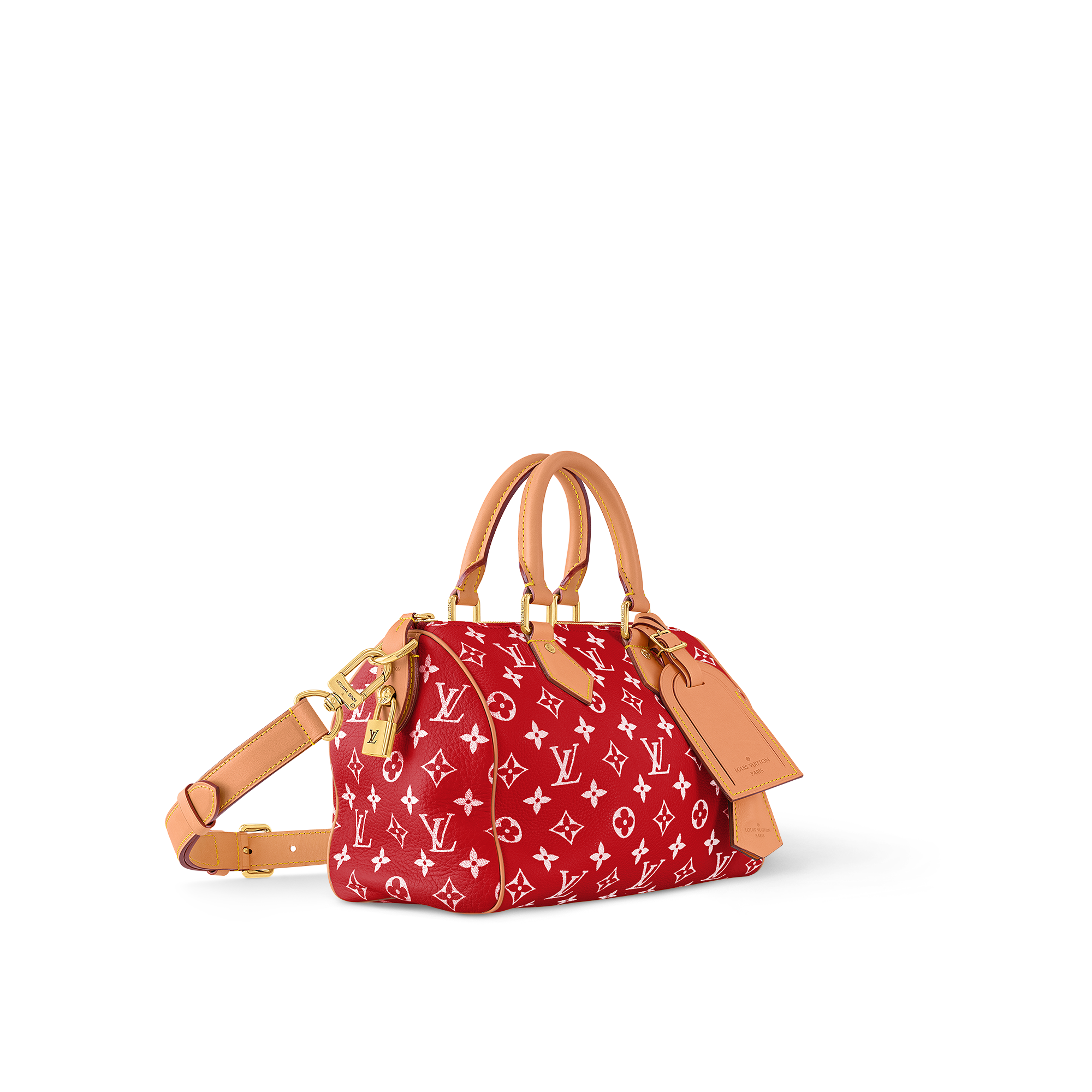 Túi Speedy P9 Bandoulière 25 Autres Cuirs Monogram in Les Extraordinaires