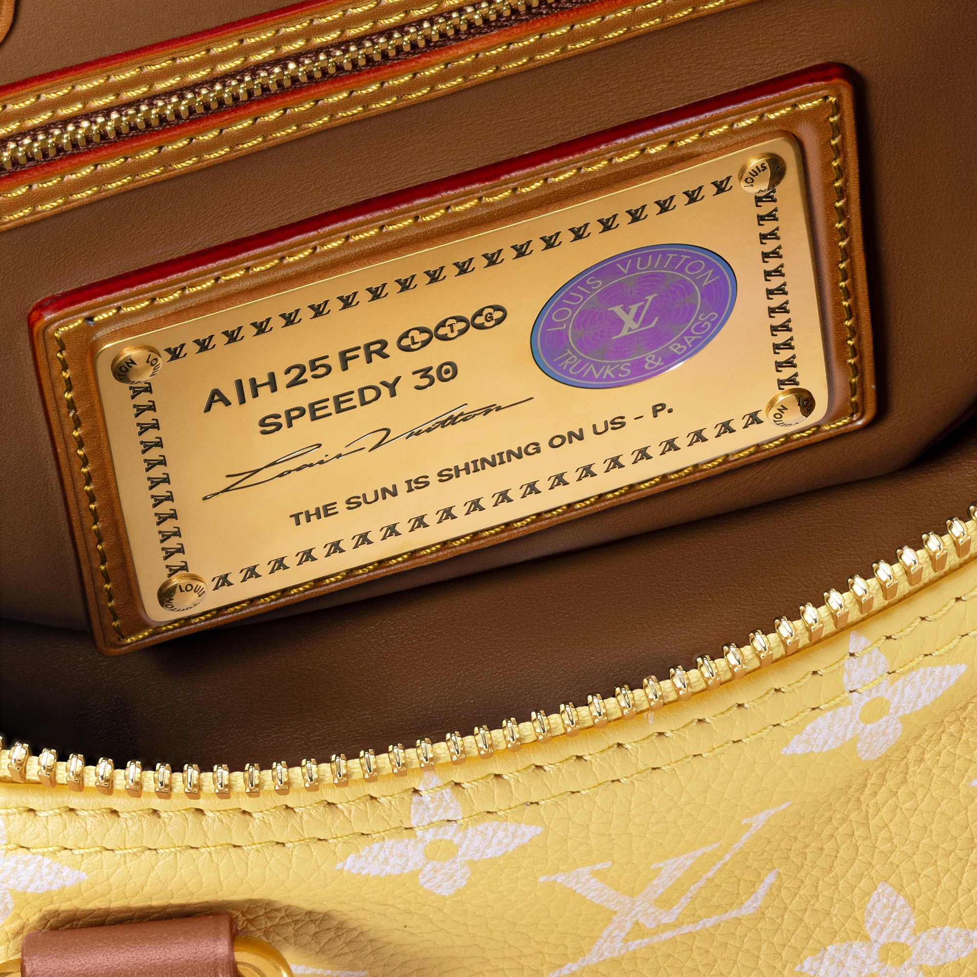 Túi Speedy P9 Bandoulière 30 Autres Cuirs Monogram in Les Extraordinaires