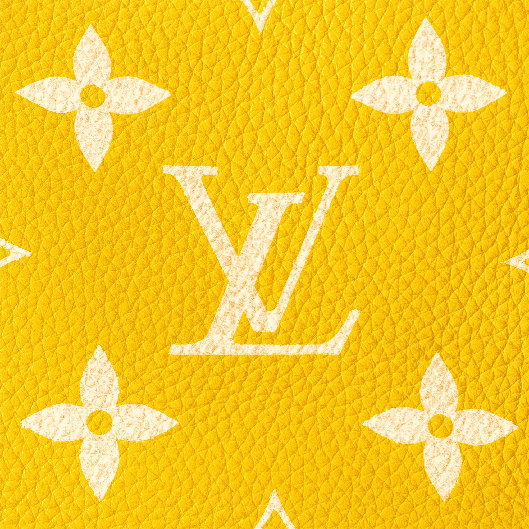 Túi Speedy P9 Bandoulière 40 Autres Cuirs Monogram in Les Extraordinaires