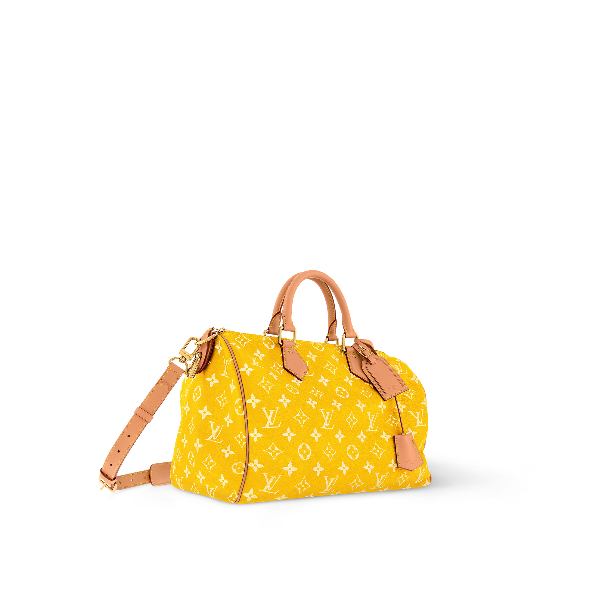 Túi Speedy P9 Bandoulière 40 Autres Cuirs Monogram in Les Extraordinaires