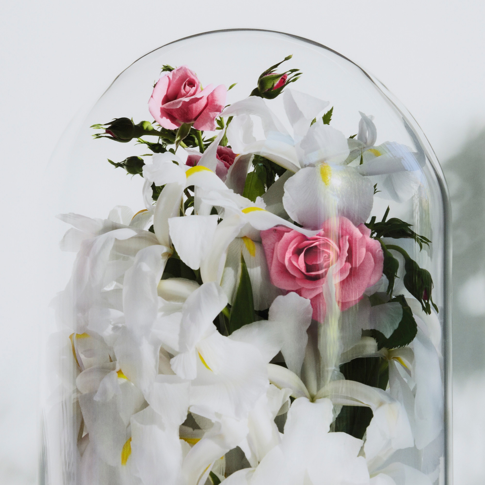 Nước Hoa Spell On You  in Nước hoa và Làm đẹp