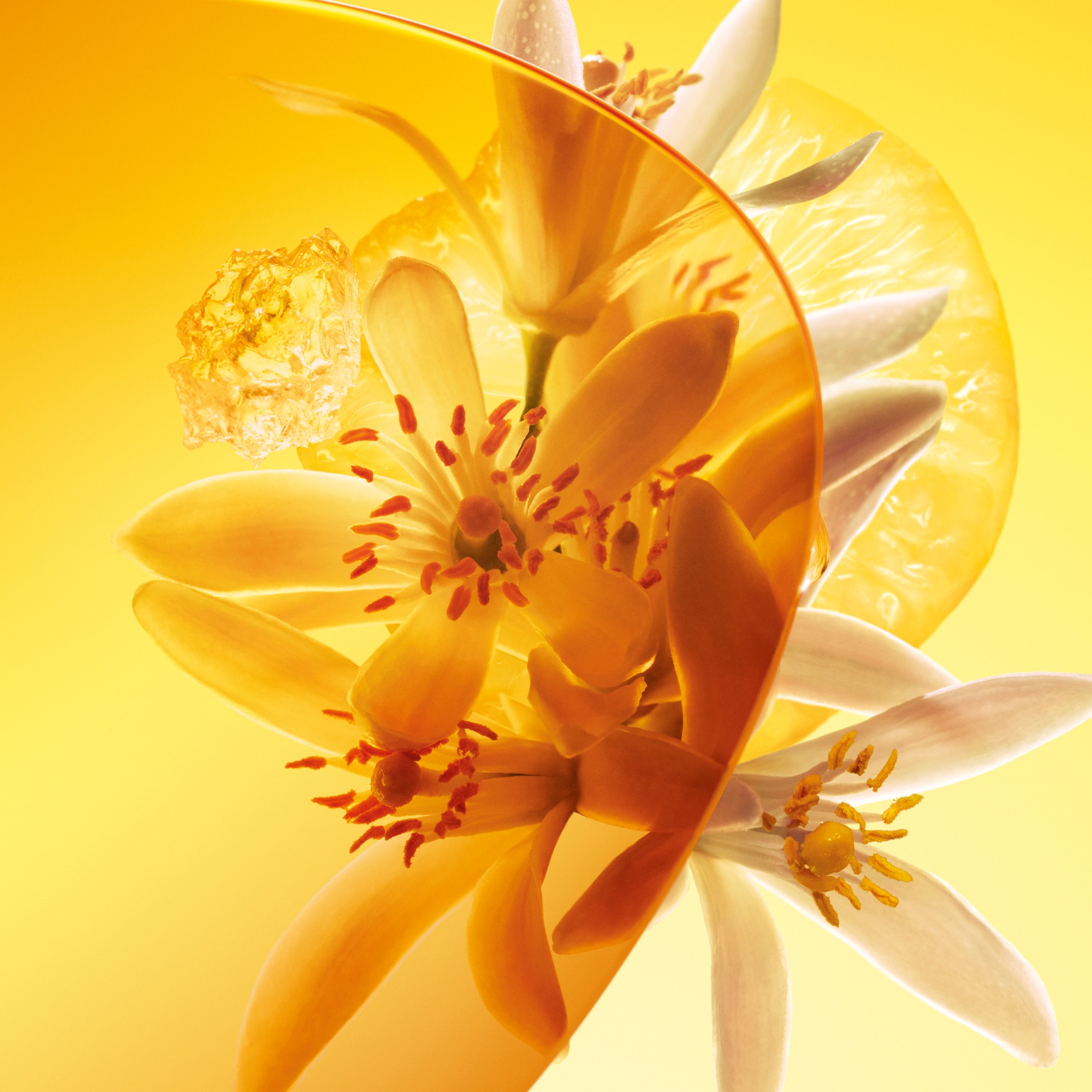 Nước Hoa Sun Song  in Nước hoa và Làm đẹp