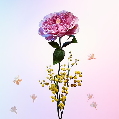 Bộ Nước Hoa Du Lịch Heures D'Absence in Nước hoa và Làm đẹp's Các bộ sưu tập Nước hoa du lịch collections by Louis Vuitton (Thu phóng sản phẩm)