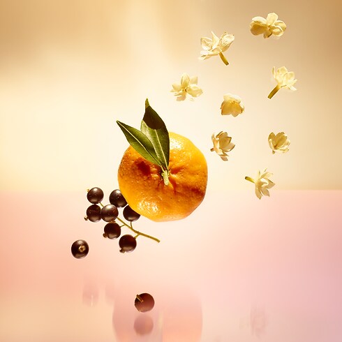 Bộ Lõi Nước Hoa Du Lịch Le Jour Se Lève in Nước hoa và Làm đẹp's Các bộ sưu tập Nước hoa du lịch collections by Louis Vuitton (Thu phóng sản phẩm)