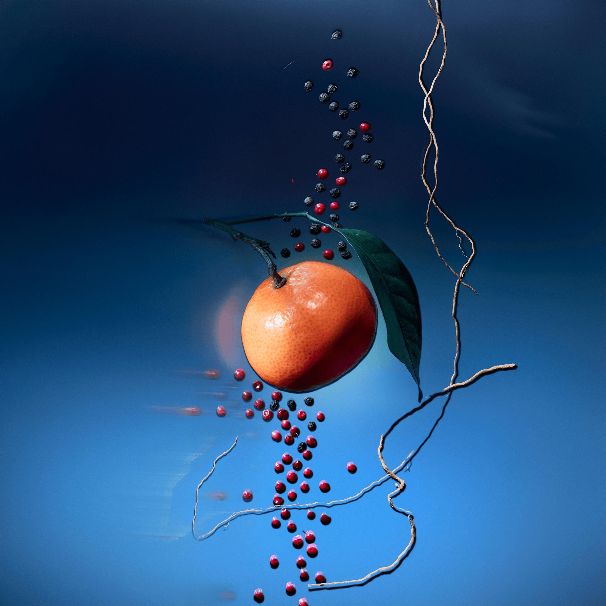 Bộ Lõi Nước Hoa Du Lịch Météore  in Nước hoa và Làm đẹp