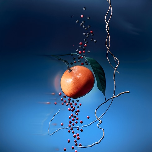 Bộ Lõi Nước Hoa Du Lịch Météore in Nước hoa và Làm đẹp's Các bộ sưu tập Nước hoa du lịch collections by Louis Vuitton (Thu phóng sản phẩm)