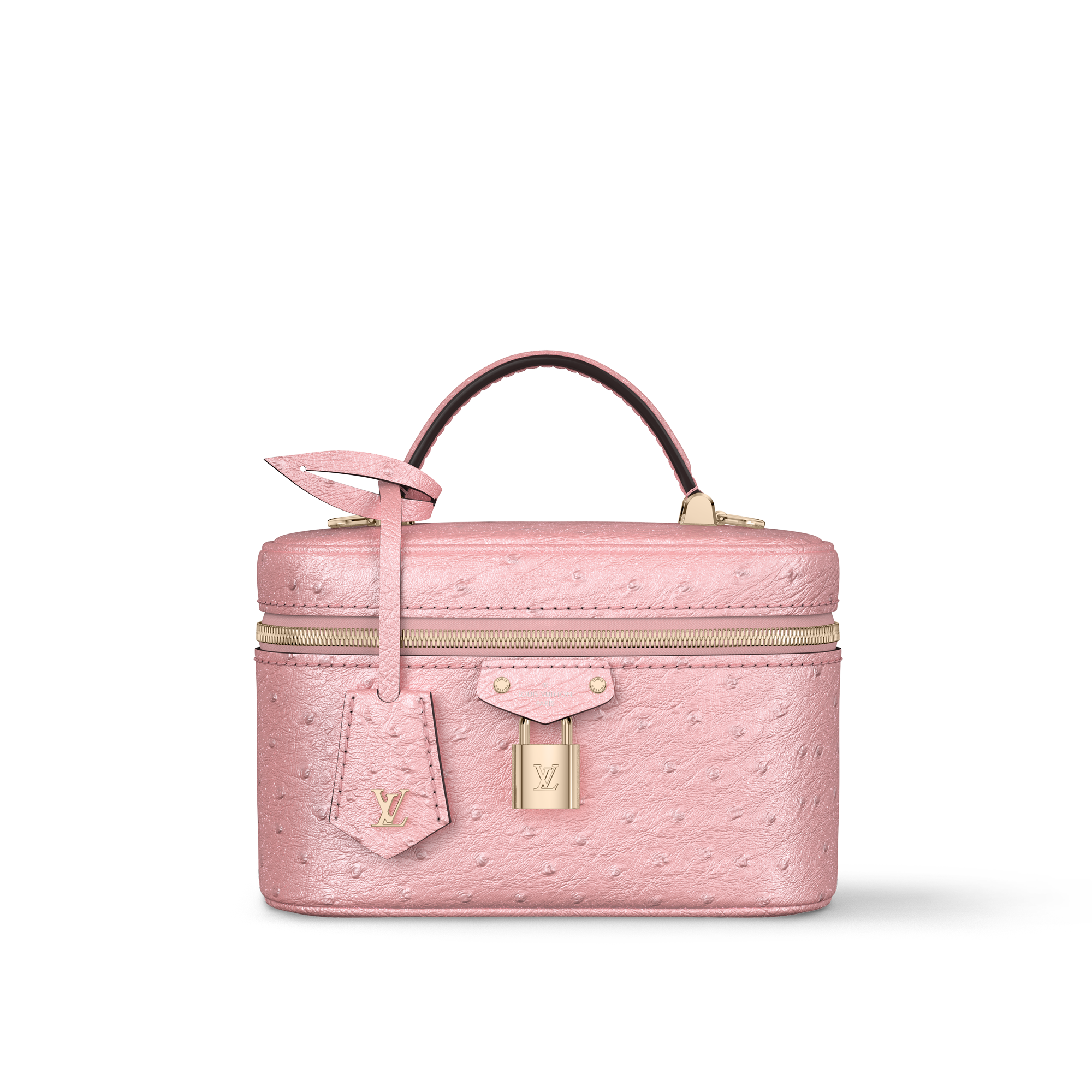 Túi Vanity Chain Pouch Autruche in Đồ Nữ